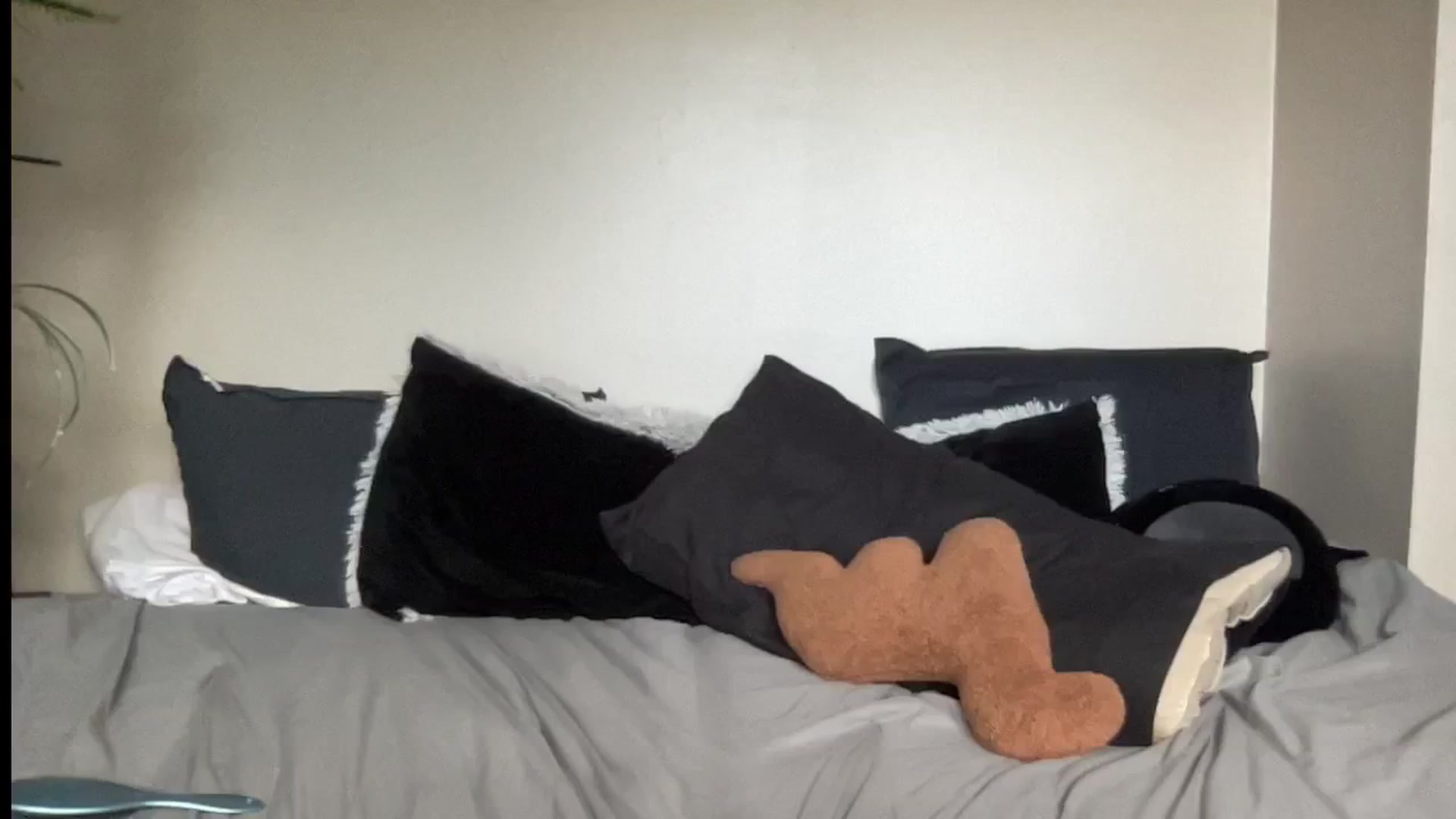 Gallery image thumbnail from RileyWoods's myfreecams stream on, 08/13/2024, 01:32 image 12 of 20