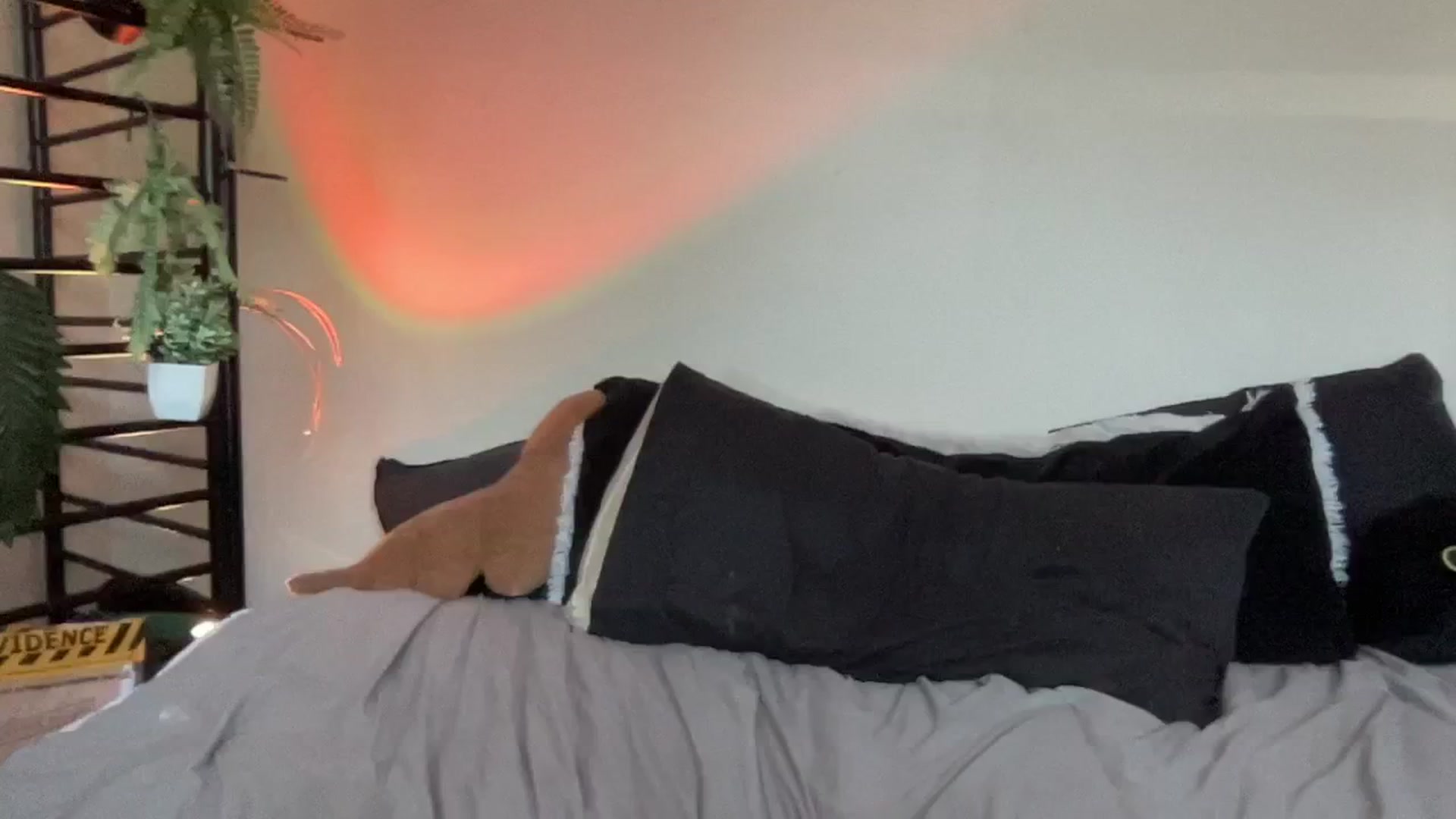 Gallery image thumbnail from RileyWoods's myfreecams stream on, 08/17/2024, 24:02 image 12 of 20