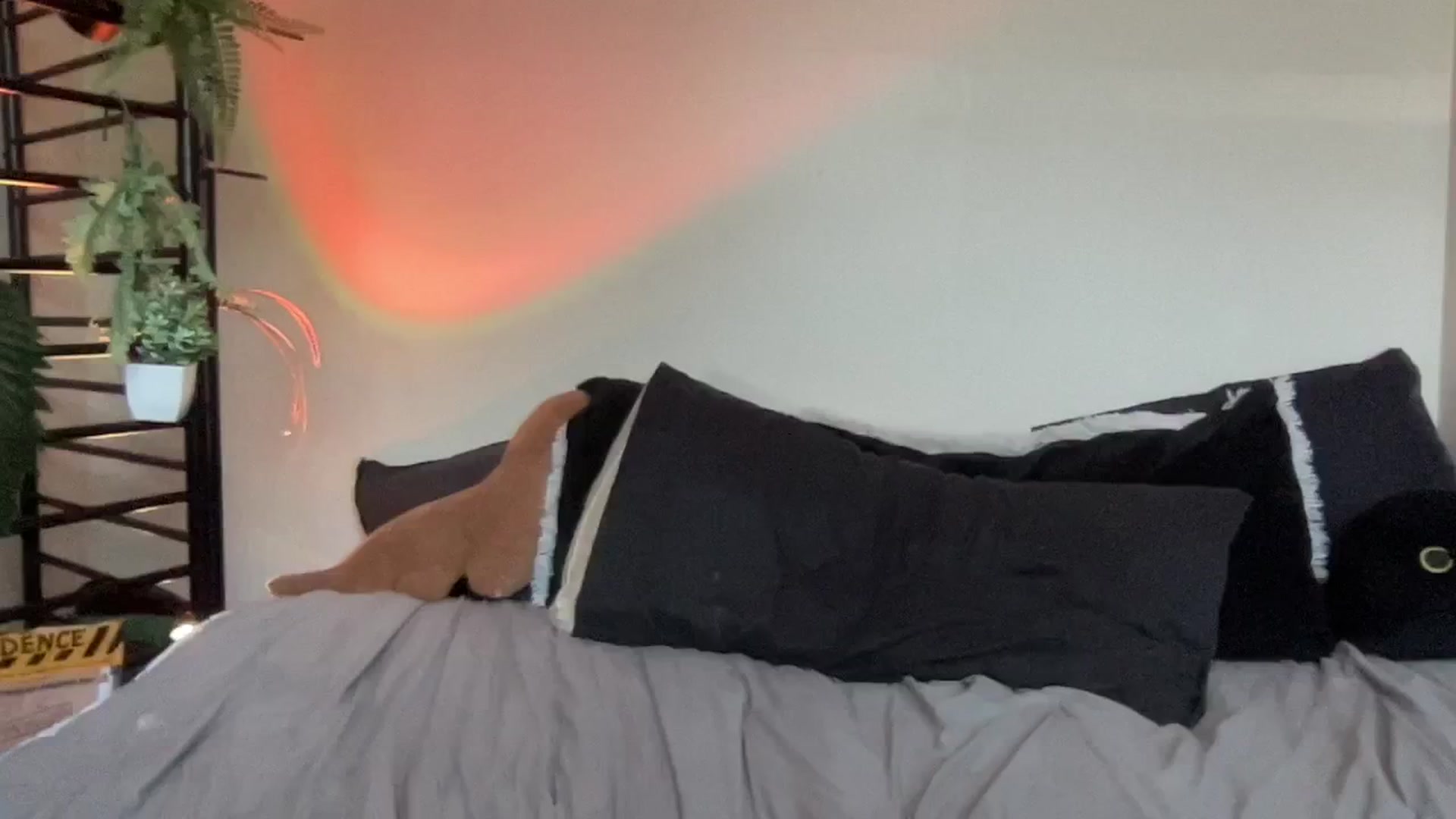Gallery image thumbnail from RileyWoods's myfreecams stream on, 08/17/2024, 24:02 image 2 of 20
