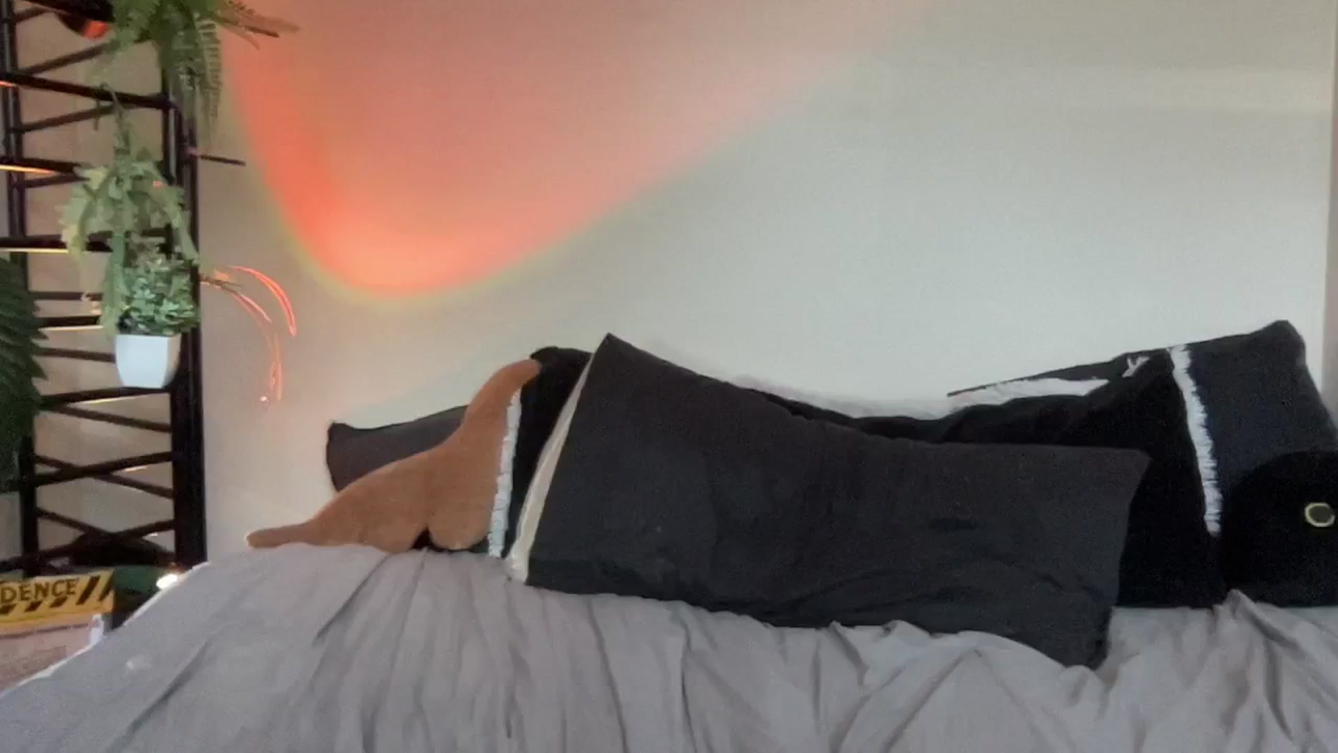 Gallery image thumbnail from RileyWoods's myfreecams stream on, 08/17/2024, 24:02 image 3 of 20
