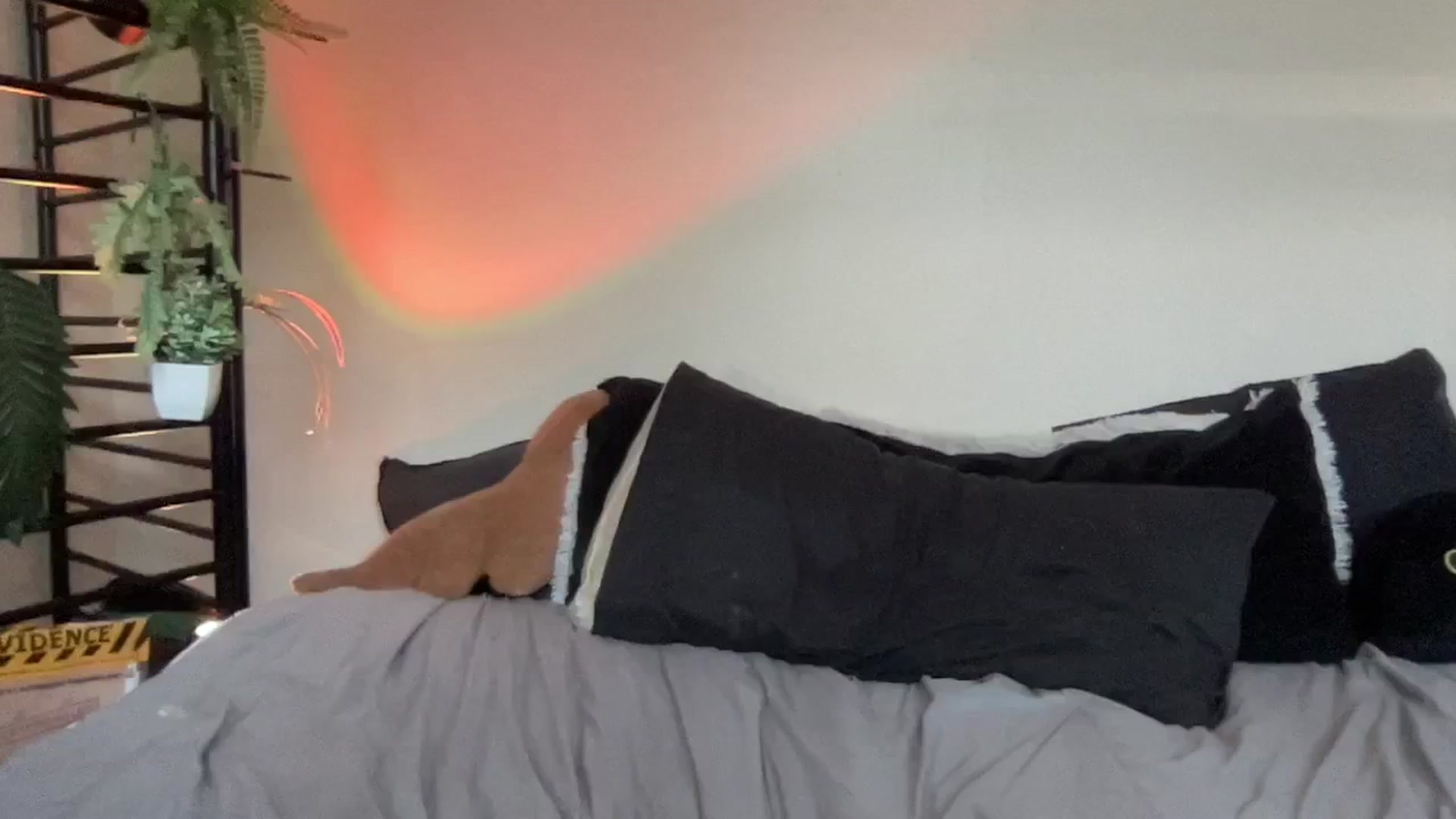 Gallery image thumbnail from RileyWoods's myfreecams stream on, 08/17/2024, 24:02 image 7 of 20