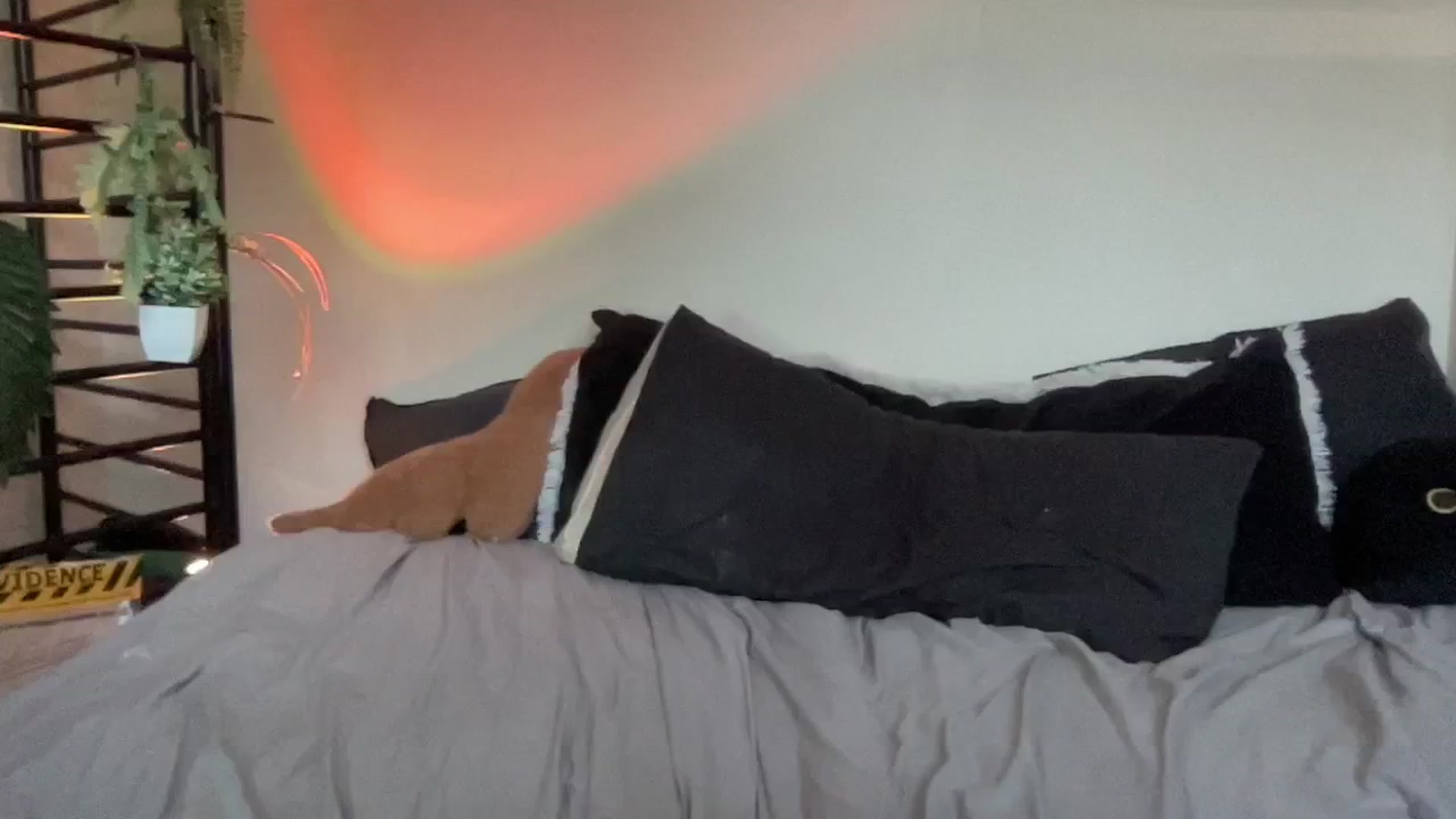 Gallery image thumbnail from RileyWoods's myfreecams stream on, 08/17/2024, 01:05 image 11 of 20