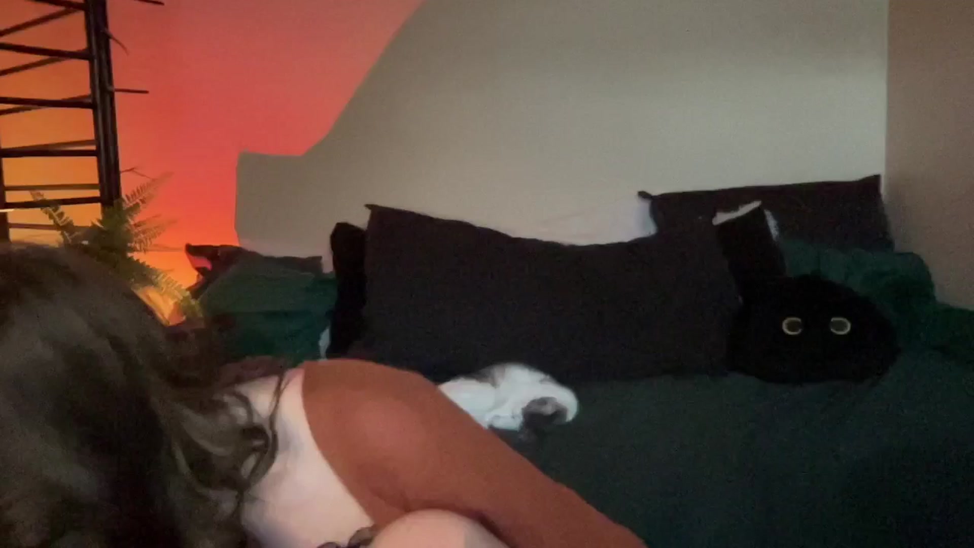 Gallery image thumbnail from RileyWoods's myfreecams stream on, 08/25/2024, 24:03 image 15 of 20
