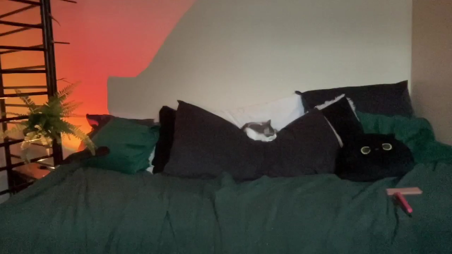 Gallery image thumbnail from RileyWoods's myfreecams stream on, 08/25/2024, 01:10 image 20 of 20