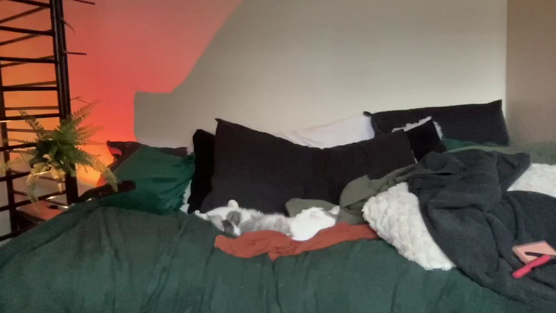 Gallery image thumbnail from RileyWoods's myfreecams stream on, 08/25/2024, 01:10 image 6 of 20