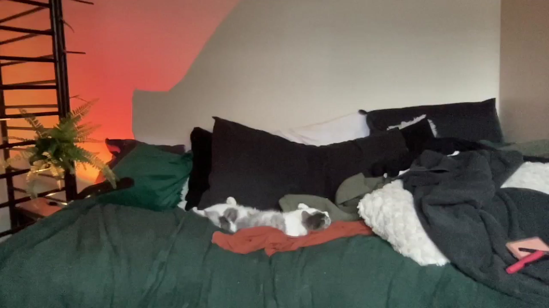 Gallery image thumbnail from RileyWoods's myfreecams stream on, 08/25/2024, 01:10 image 7 of 20