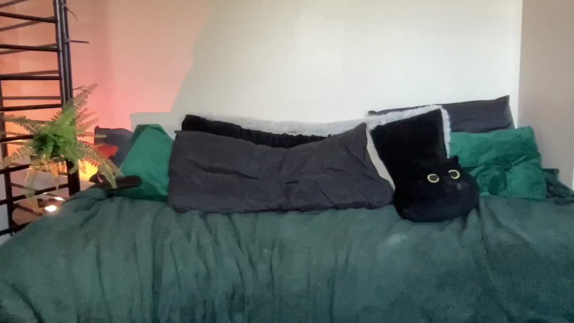 Gallery image thumbnail from RileyWoods's myfreecams stream on, 08/26/2024, 01:50 image 13 of 20