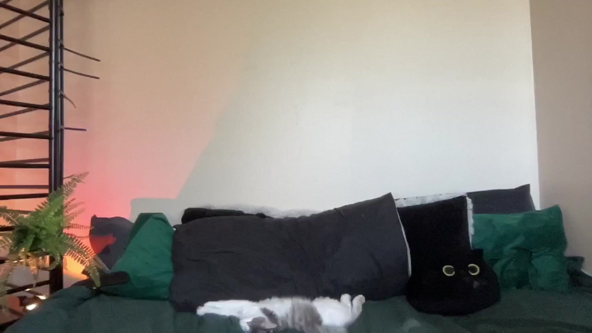 Gallery image thumbnail from RileyWoods's myfreecams stream on, 08/26/2024, 01:50 image 1 of 20