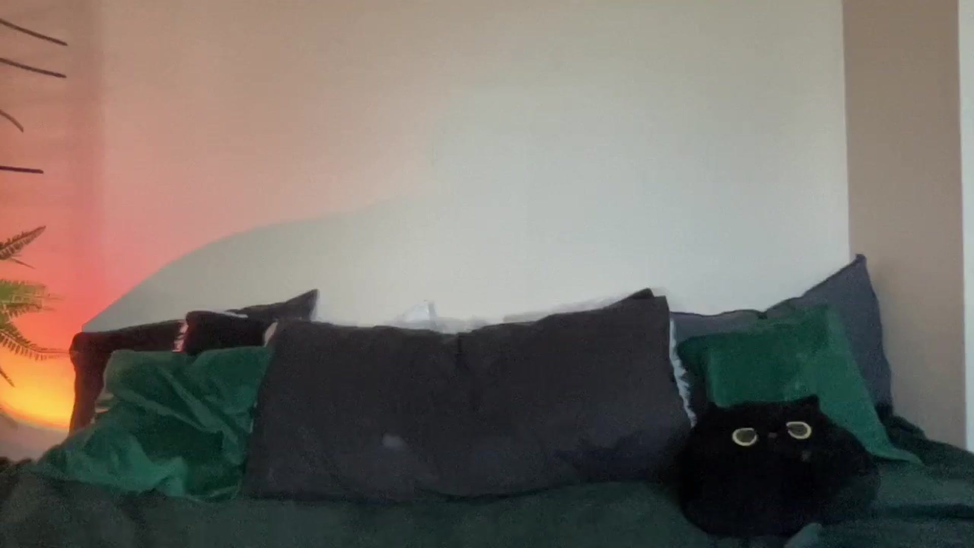 Gallery image thumbnail from RileyWoods's myfreecams stream on, 08/28/2024, 24:01 image 16 of 20
