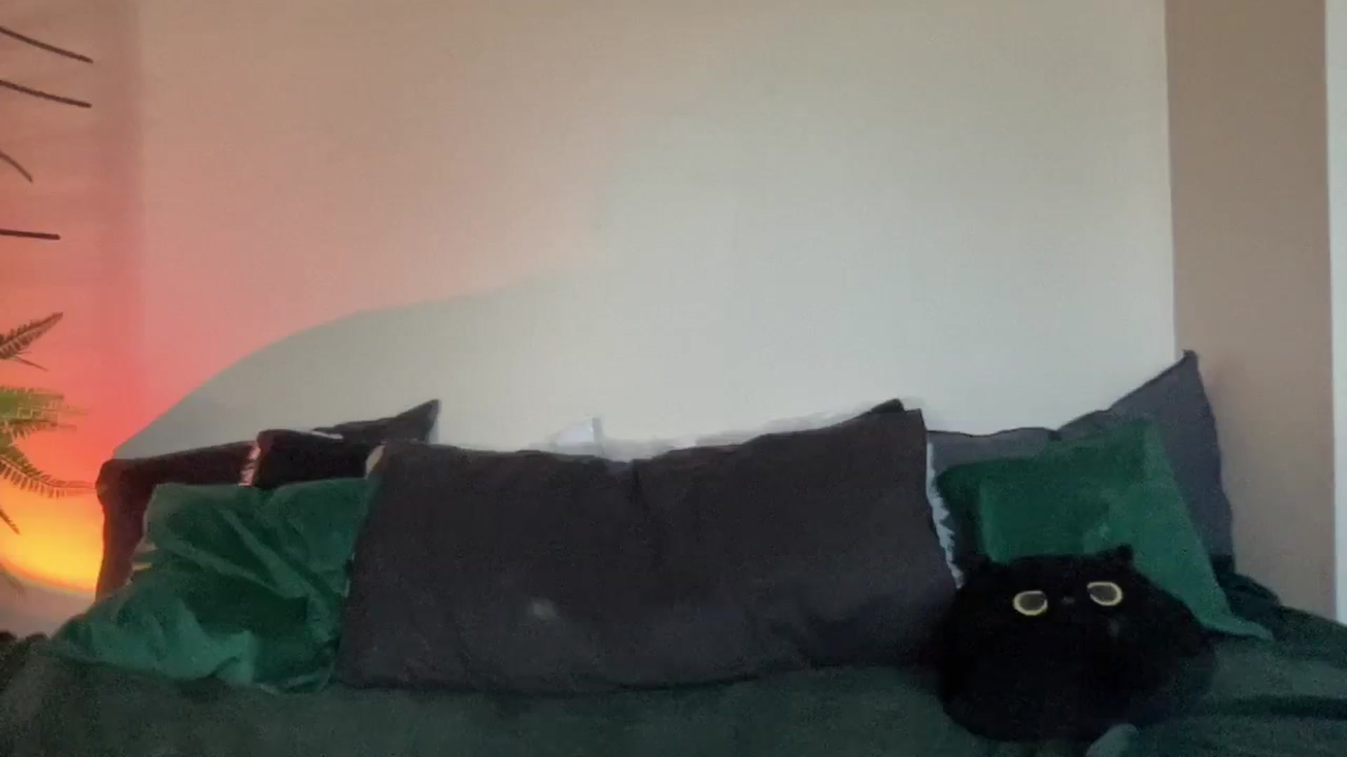 Gallery image thumbnail from RileyWoods's myfreecams stream on, 08/28/2024, 01:37 image 5 of 20