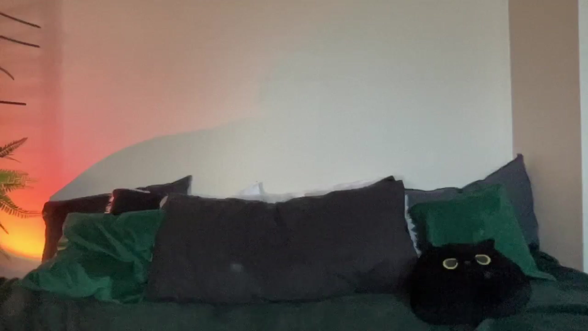 Gallery image thumbnail from RileyWoods's myfreecams stream on, 08/28/2024, 01:37 image 12 of 20