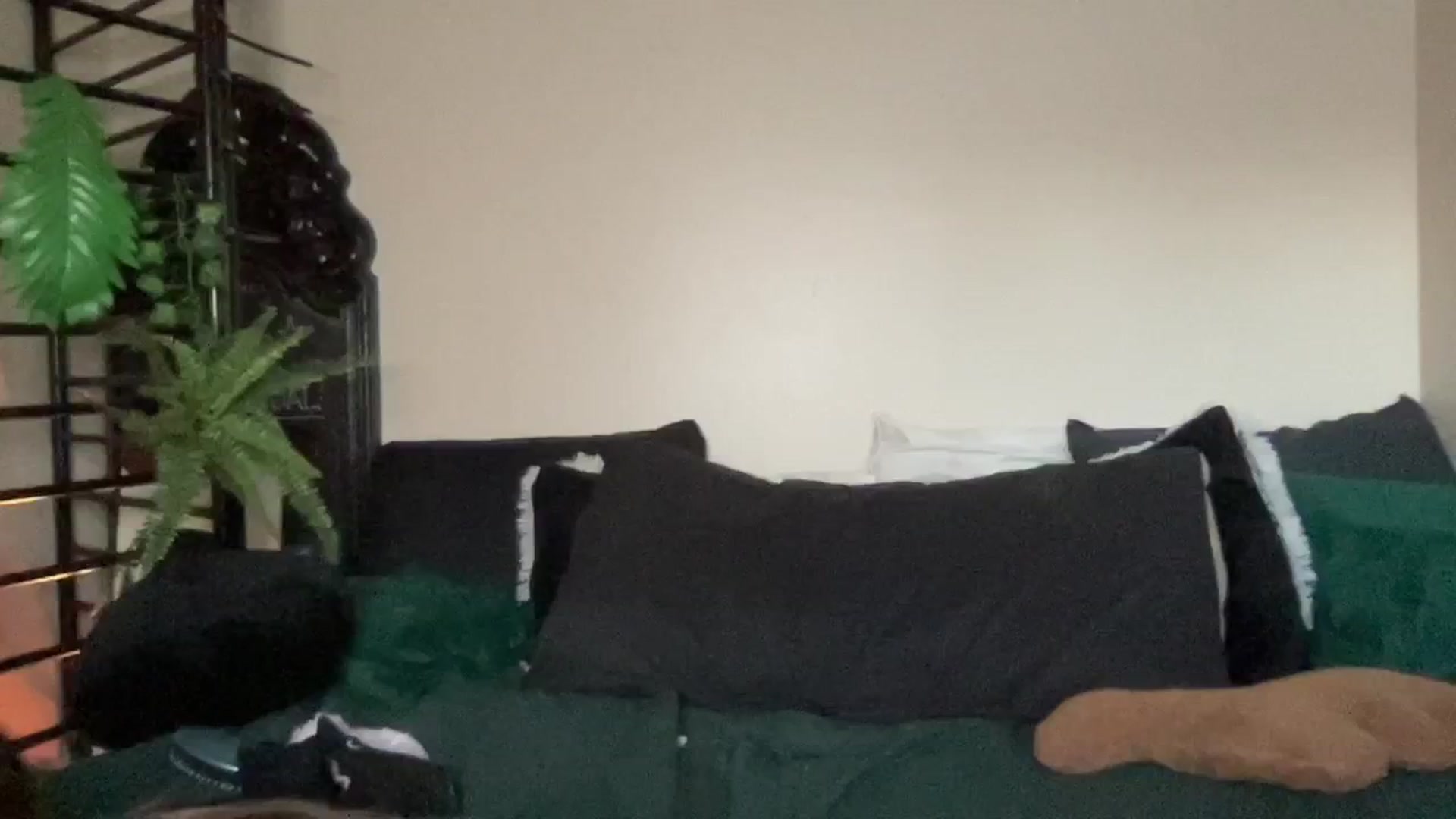 Gallery image thumbnail from RileyWoods's myfreecams stream on, 08/31/2024, 03:24 image 17 of 20