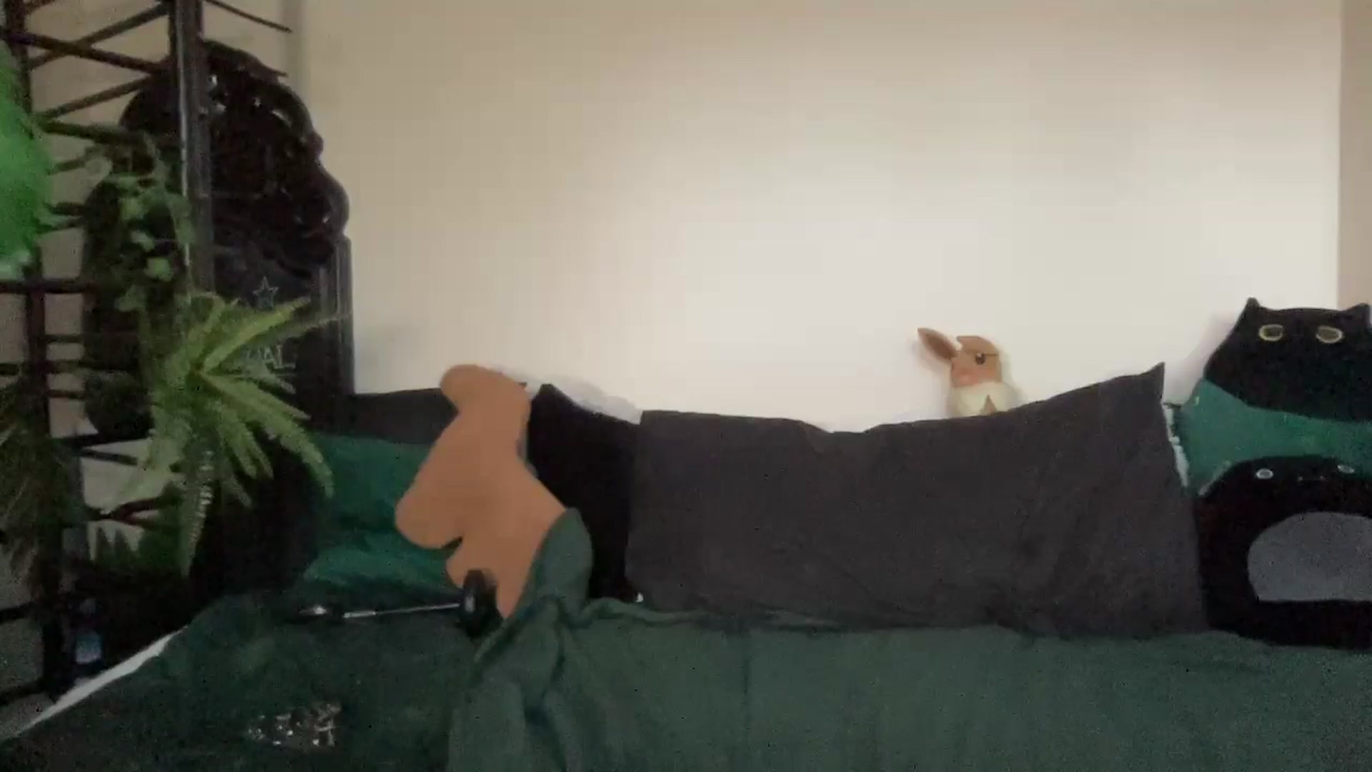 Gallery image thumbnail from RileyWoods's myfreecams stream on, 09/15/2024, 01:50 image 10 of 20