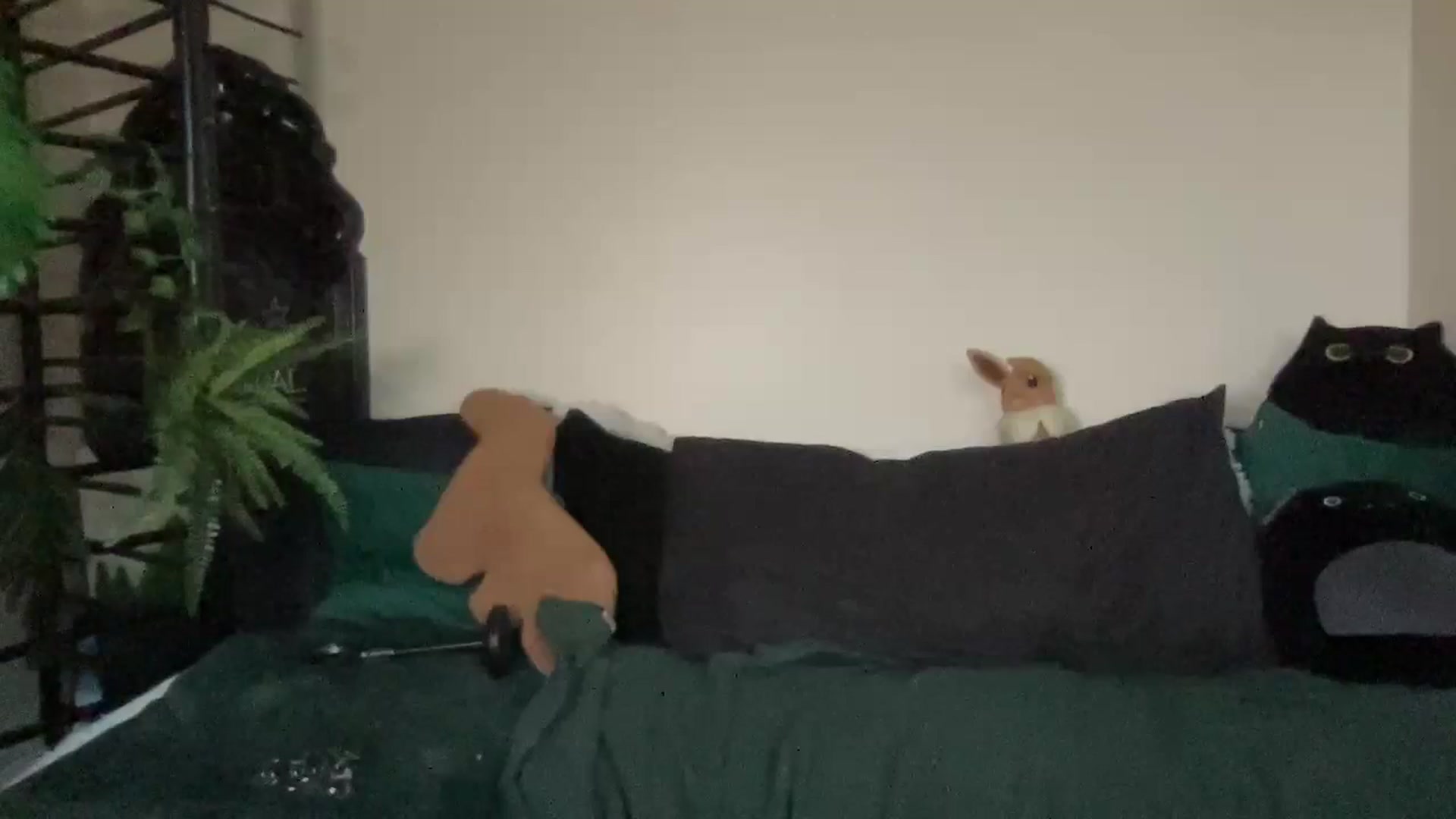 Gallery image thumbnail from RileyWoods's myfreecams stream on, 09/15/2024, 01:50 image 14 of 20