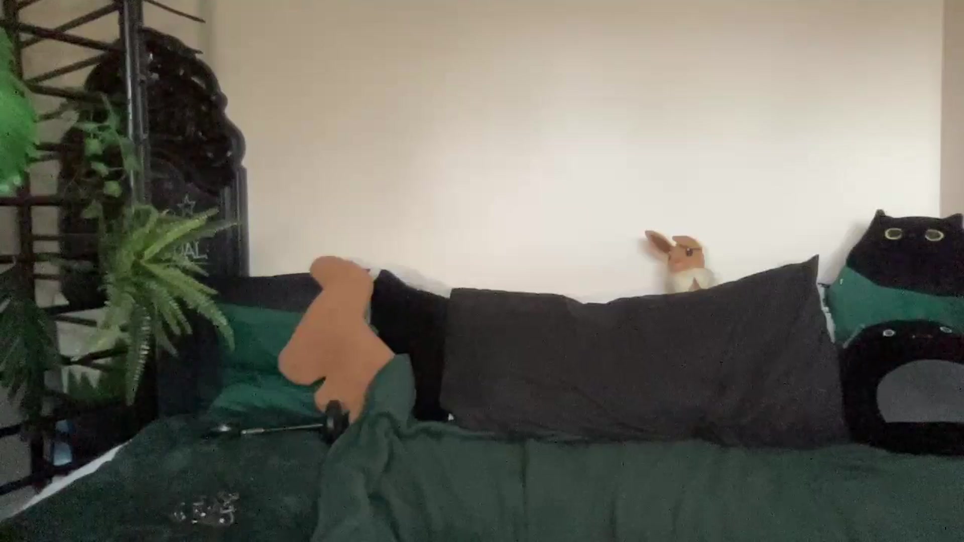 Gallery image thumbnail from RileyWoods's myfreecams stream on, 09/15/2024, 01:50 image 9 of 20