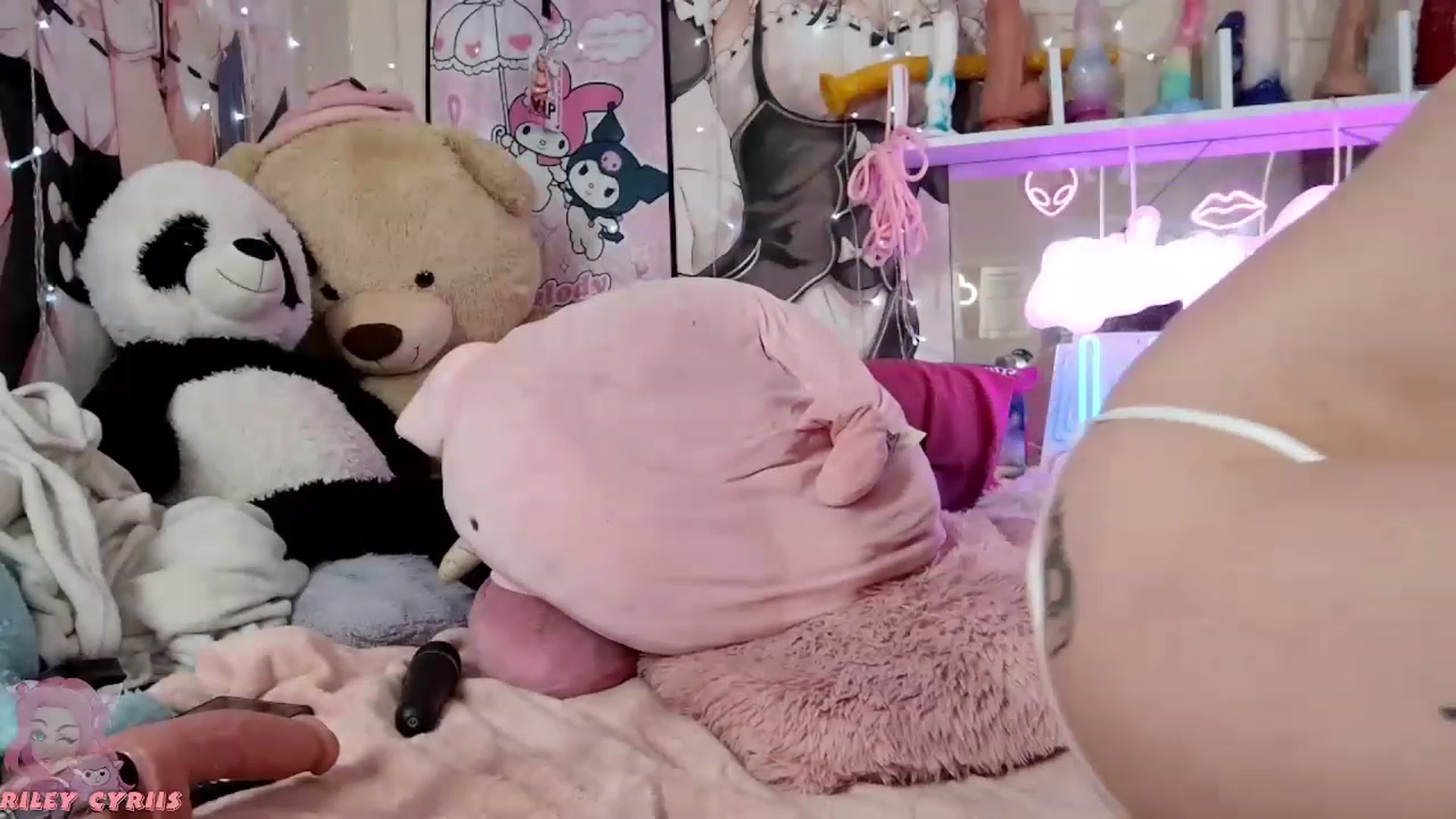 Gallery image thumbnail from Riley_Cyriis's myfreecams stream on, 11/19/2022, 01:40 image 14 of 20