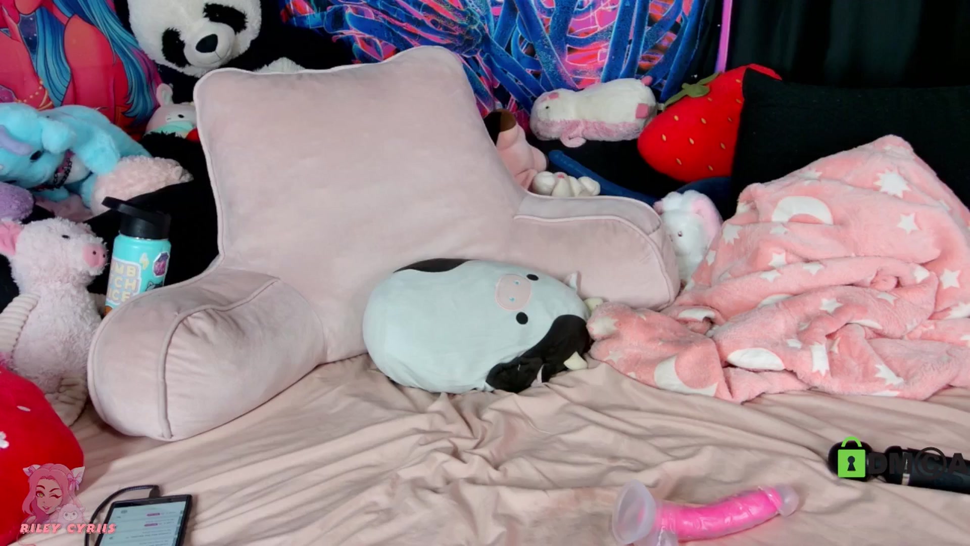 Gallery image thumbnail from Riley_Cyriis's myfreecams stream on, 02/24/2026, 02:57 image 7 of 20