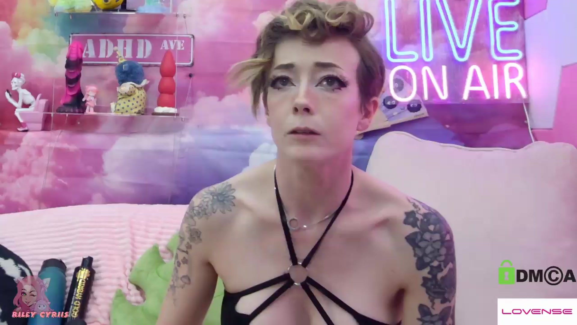 Gallery image thumbnail from Riley_Cyriis's myfreecams stream on, 05/22/2026, 02:20 image 4 of 20