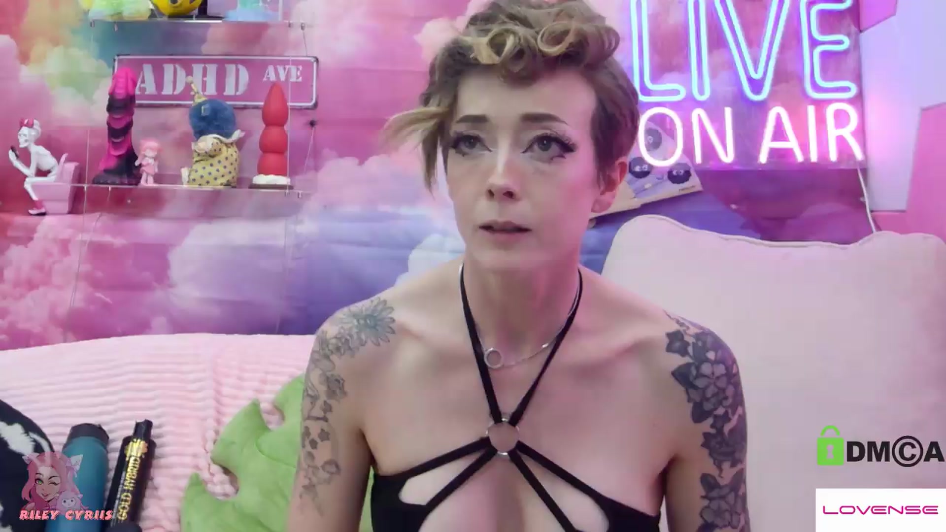 Gallery image thumbnail from Riley_Cyriis's myfreecams stream on, 05/22/2026, 02:20 image 3 of 20
