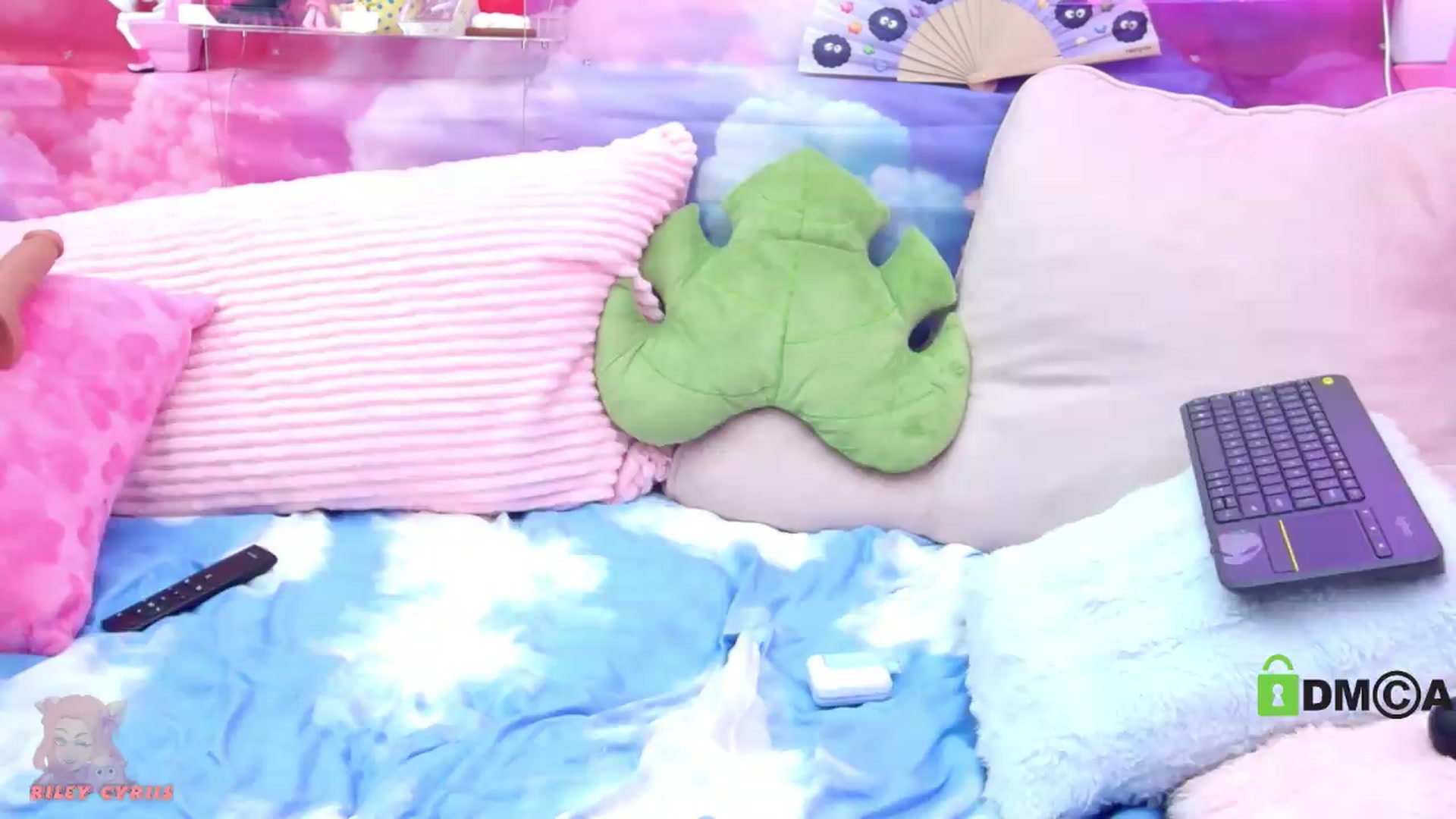 Gallery image thumbnail from Riley_Cyriis's myfreecams stream on, 06/23/2026, 02:04 image 9 of 20