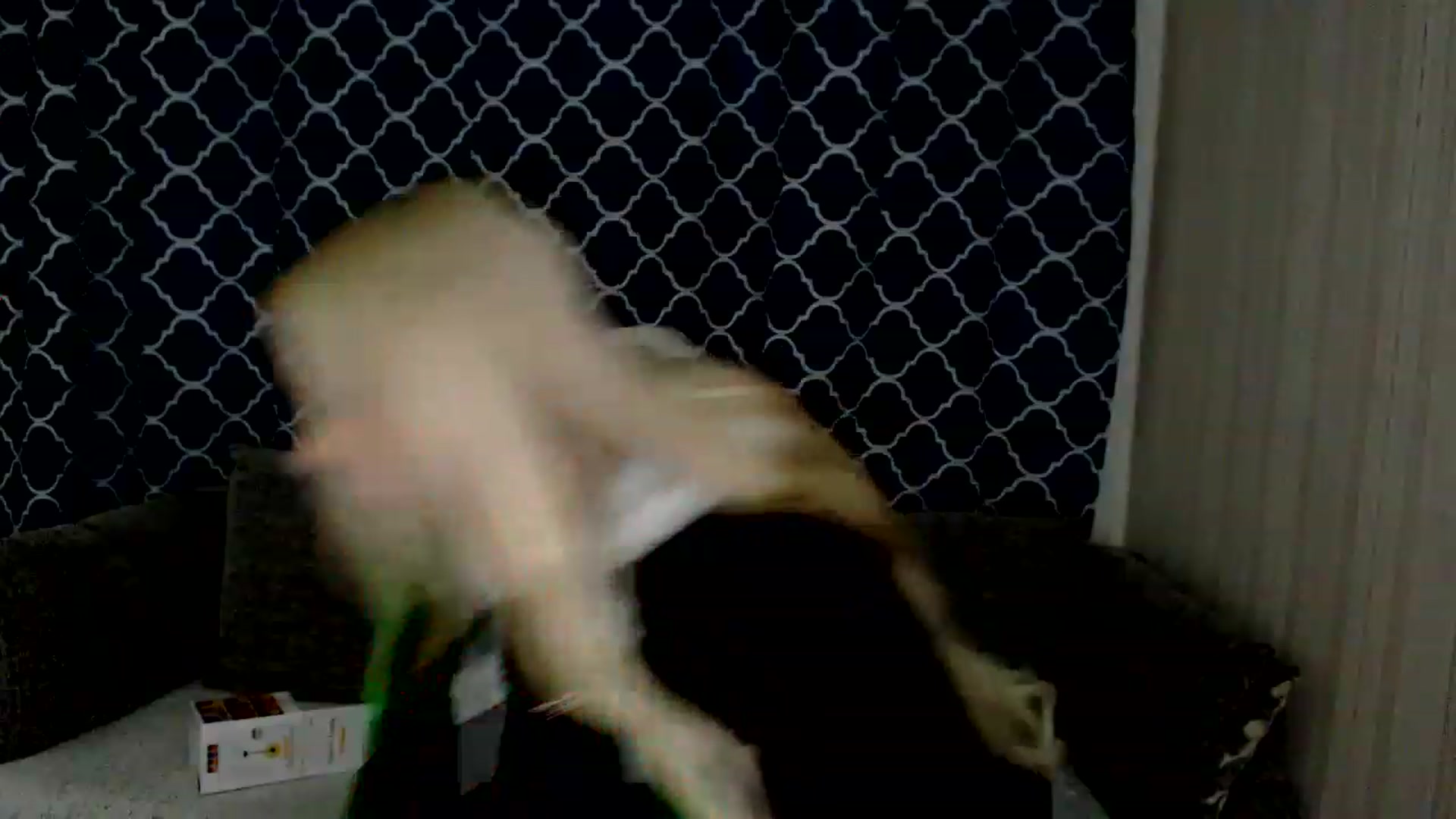 Gallery image thumbnail from Ririma_xo's myfreecams stream on, 12/10/2022, 12:38 image 17 of 20