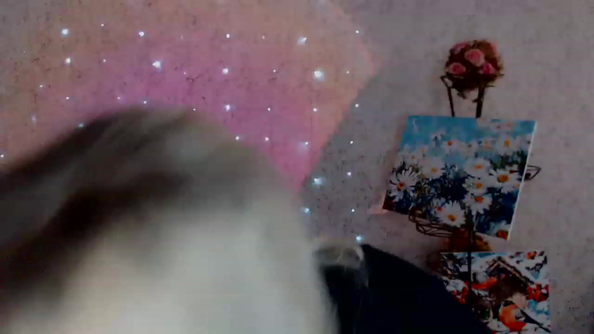 Gallery image thumbnail from Ririma_xo's myfreecams stream on, 02/06/2023, 13:07 image 2 of 20