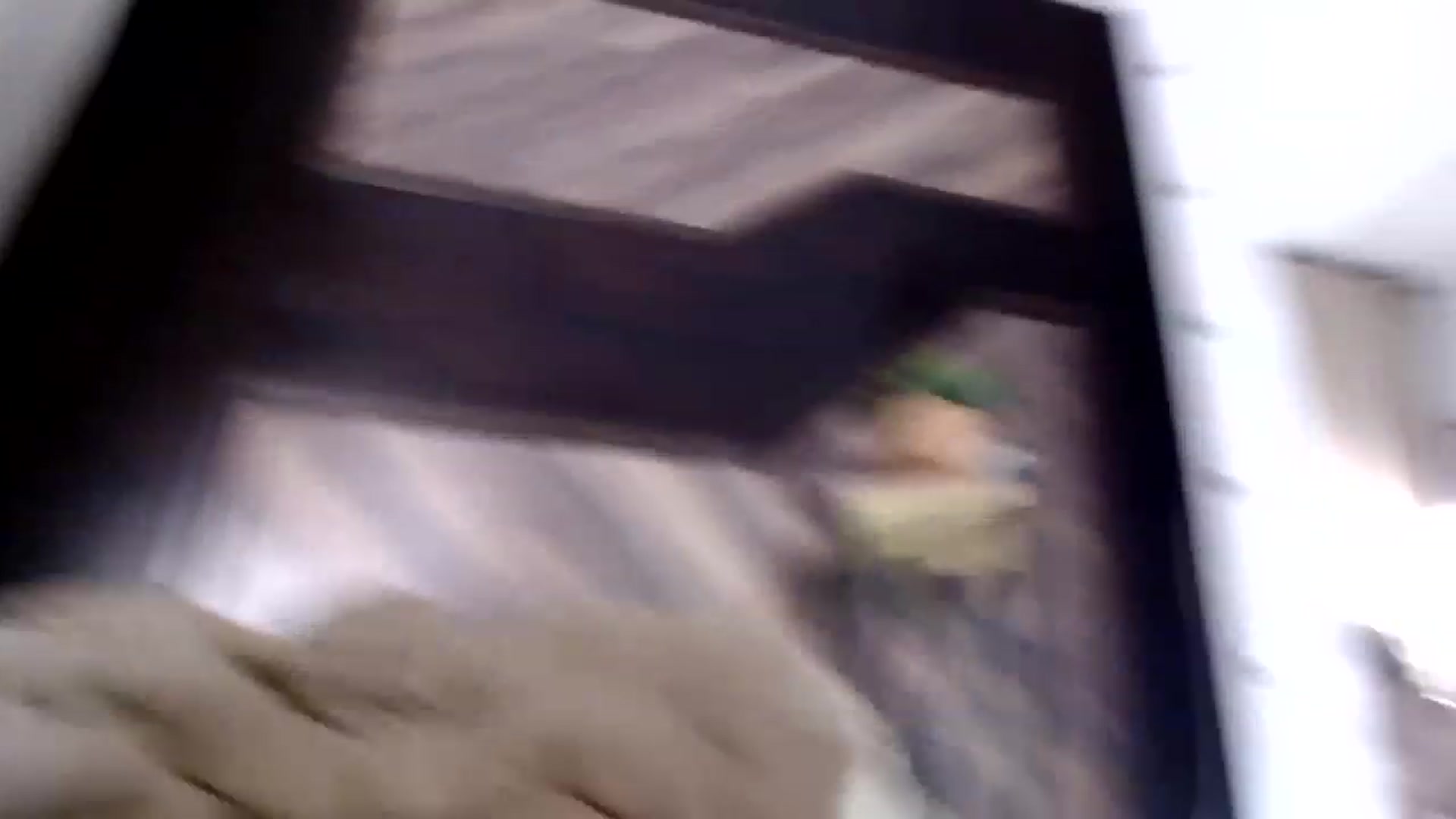 Gallery image thumbnail from RishaLi's myfreecams stream on, 11/16/2022, 15:15 image 19 of 20