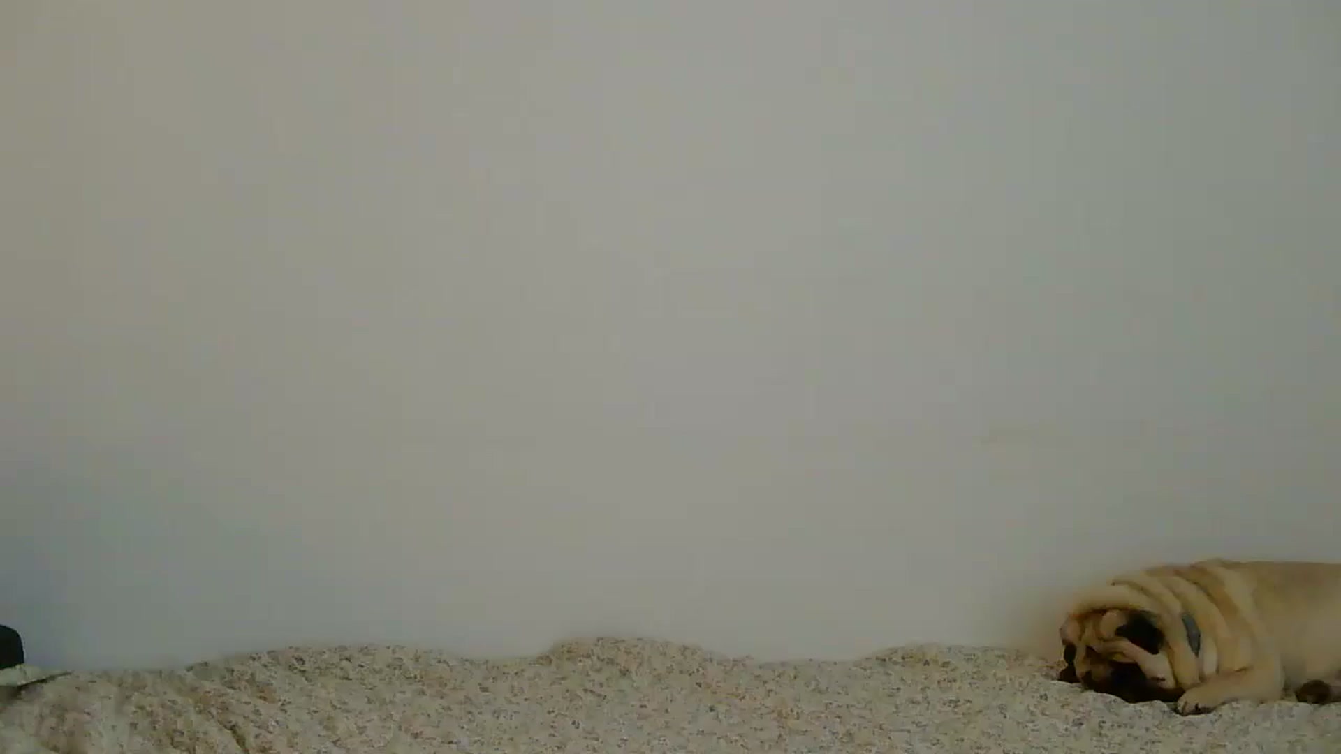 Gallery image thumbnail from RiskyIvy's myfreecams stream on, 11/04/2025, 12:32 image 1 of 20
