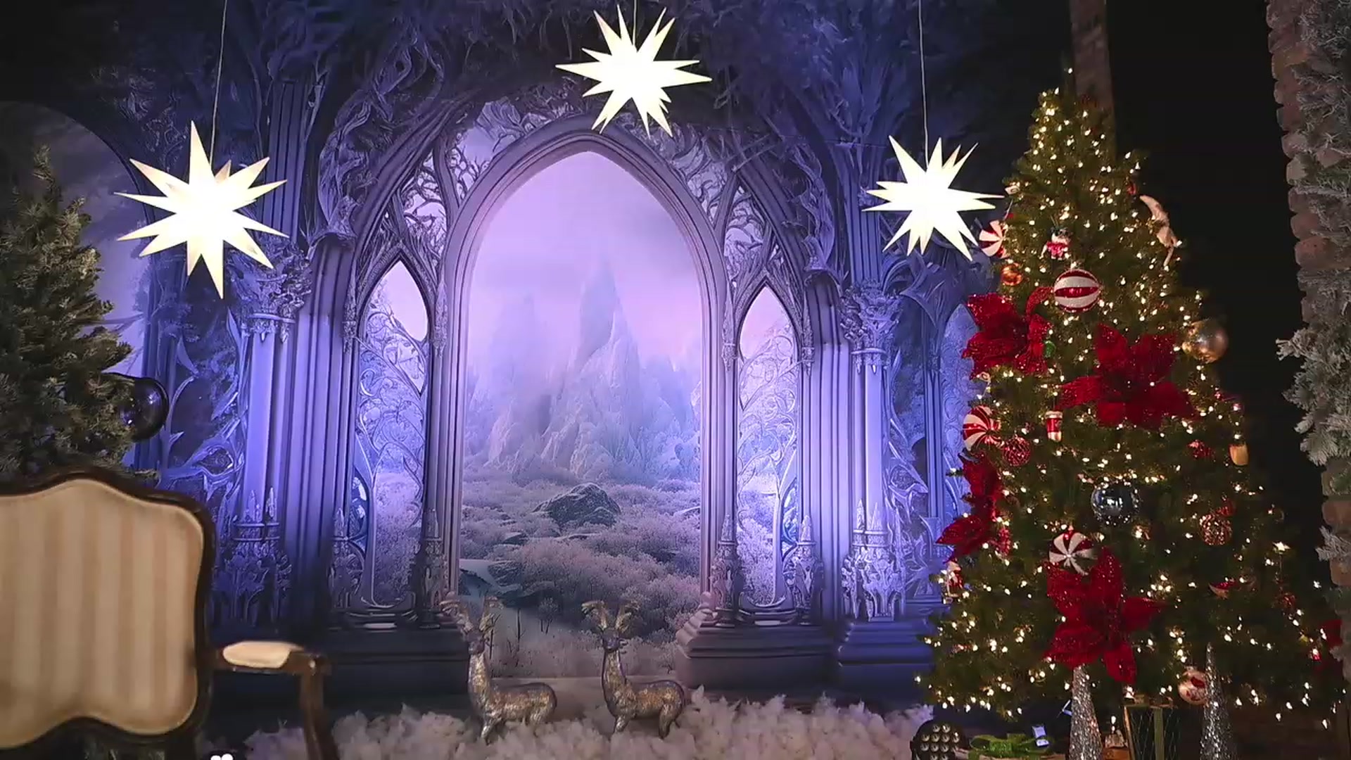 Gallery image thumbnail from RocknRose's myfreecams stream on, 12/24/2023, 06:17 image 18 of 20