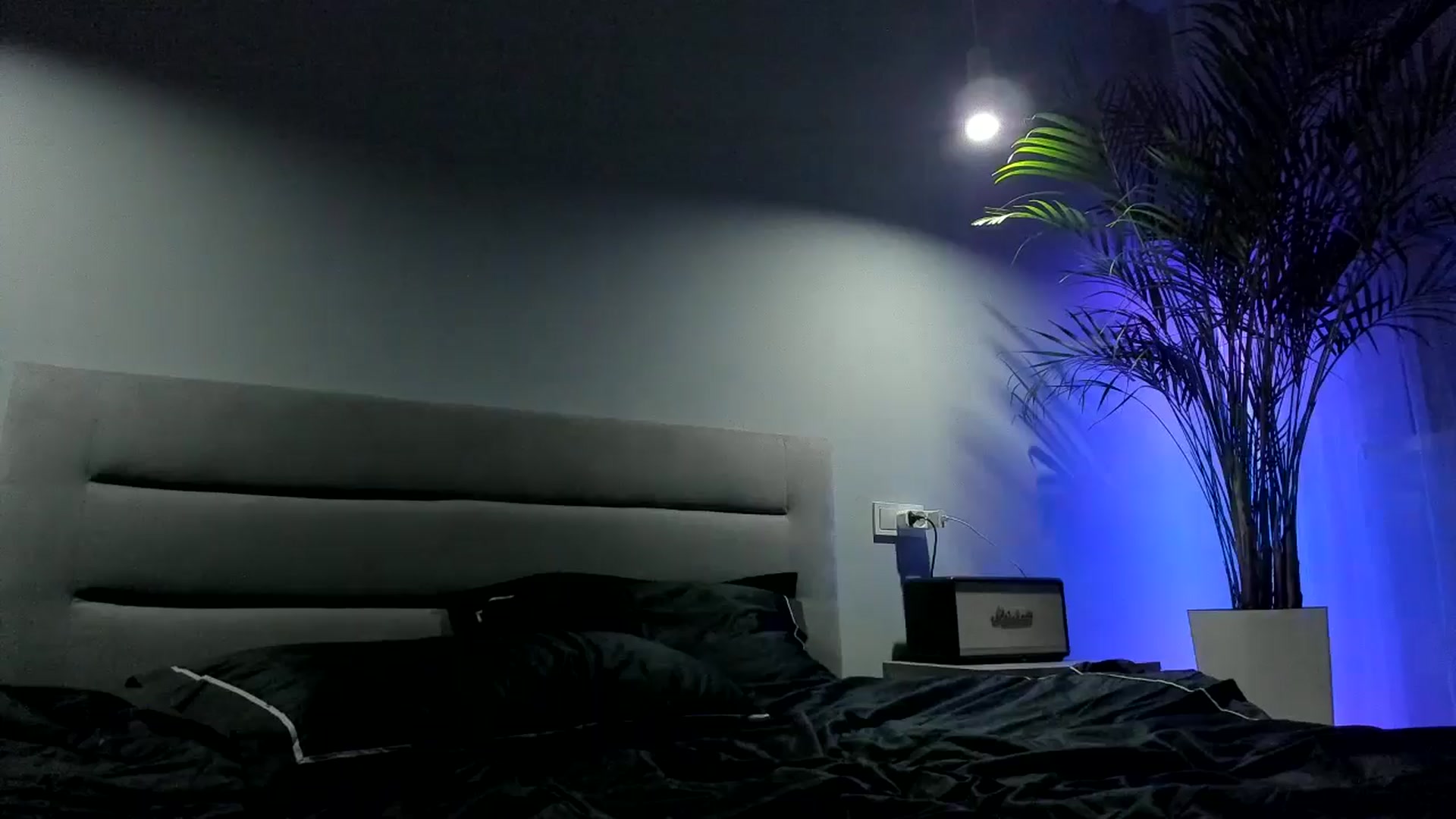 Gallery image thumbnail from Rockn_Queen's myfreecams stream on, 09/09/2024, 21:02 image 1 of 20