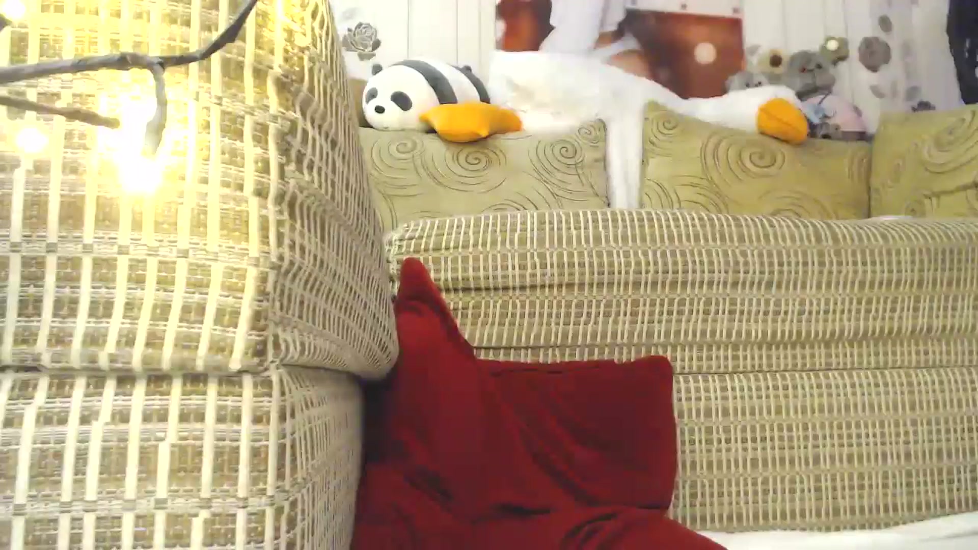 Gallery image thumbnail from RoomOfBears's myfreecams stream on, 12/26/2024, 18:04 image 15 of 20