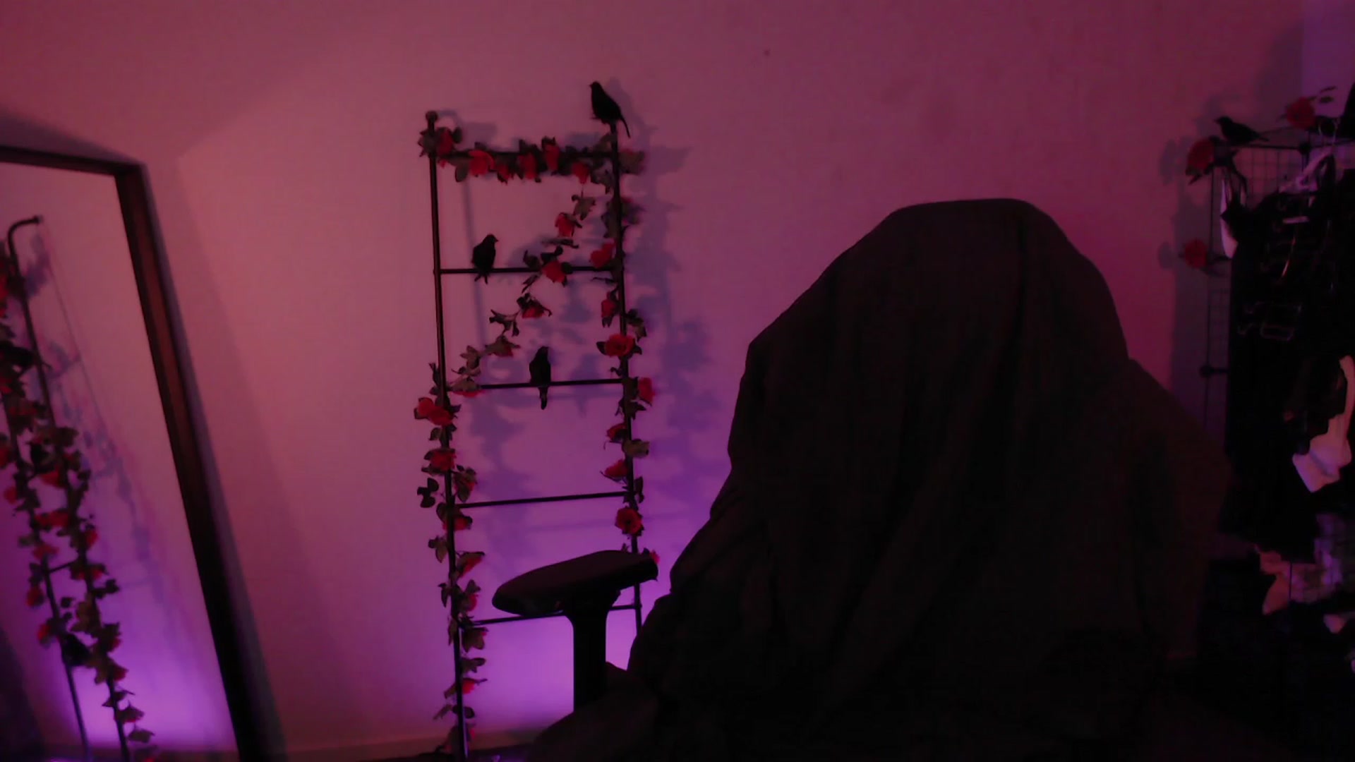 Gallery image thumbnail from RoomToAvoid's myfreecams stream on, 11/17/2022, 04:53 image 8 of 20
