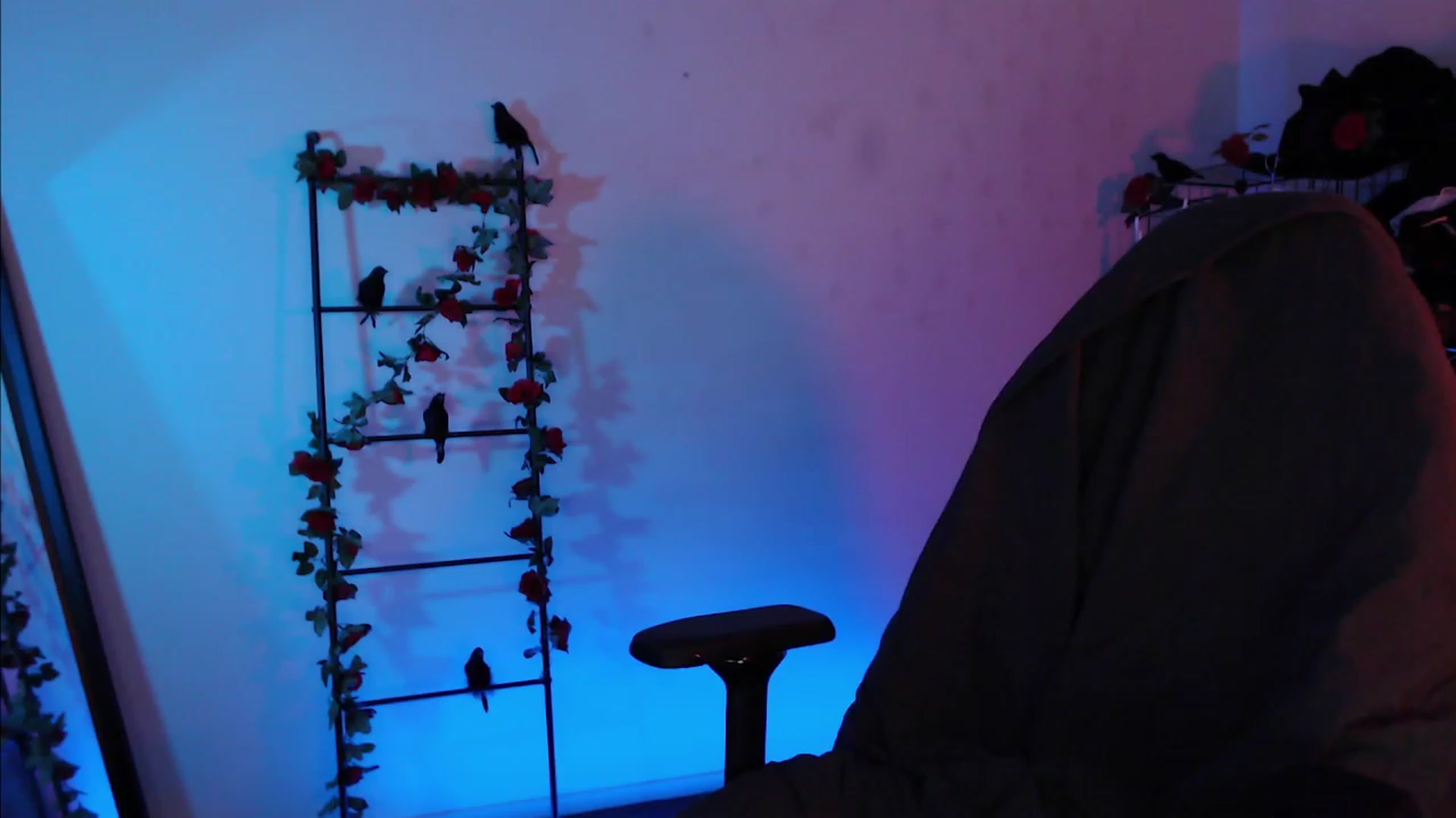 Gallery image thumbnail from RoomToAvoid's myfreecams stream on, 11/19/2022, 01:18 image 11 of 20