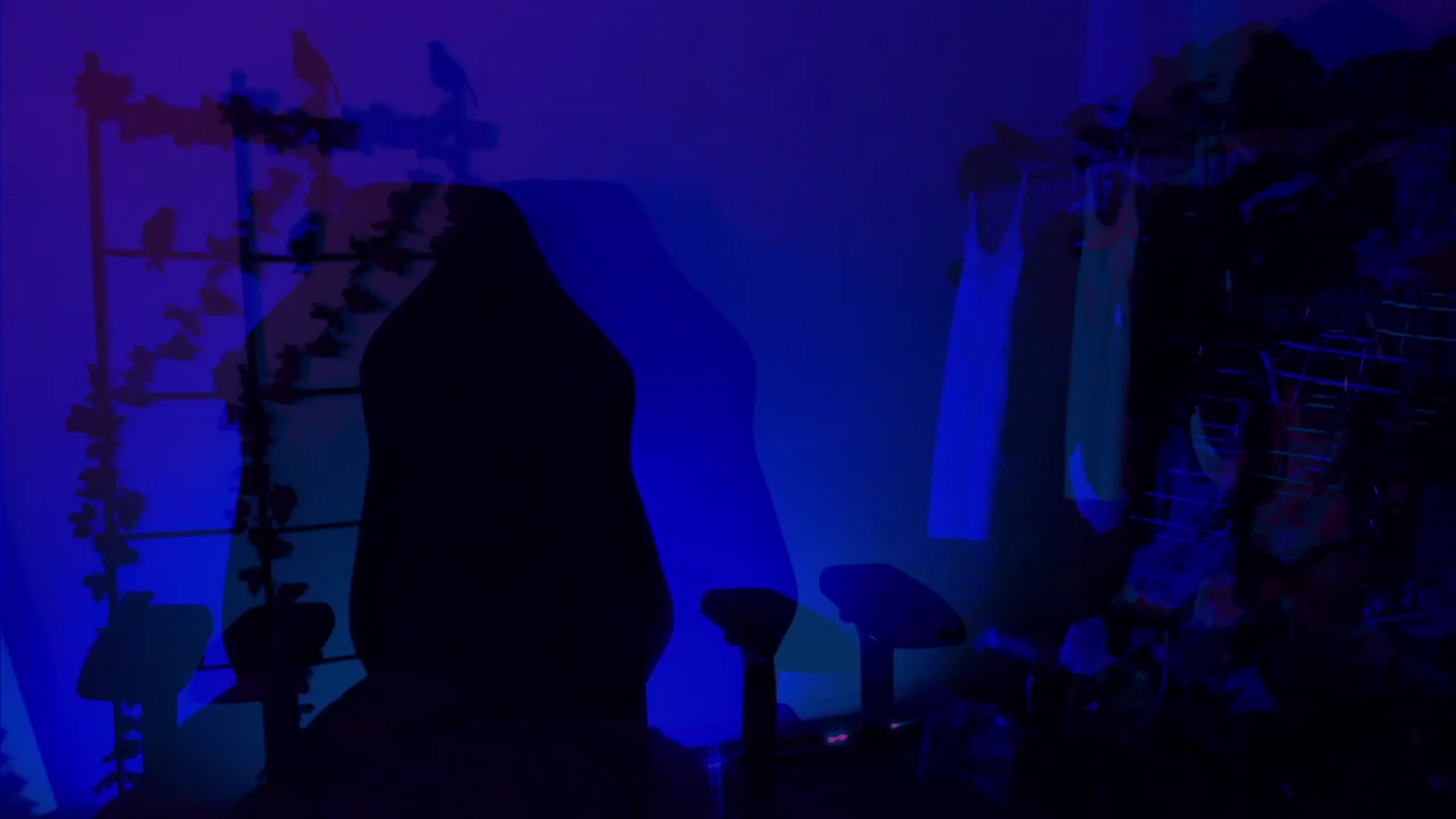 Gallery image thumbnail from RoomToAvoid's myfreecams stream on, 11/19/2022, 04:45 image 18 of 20