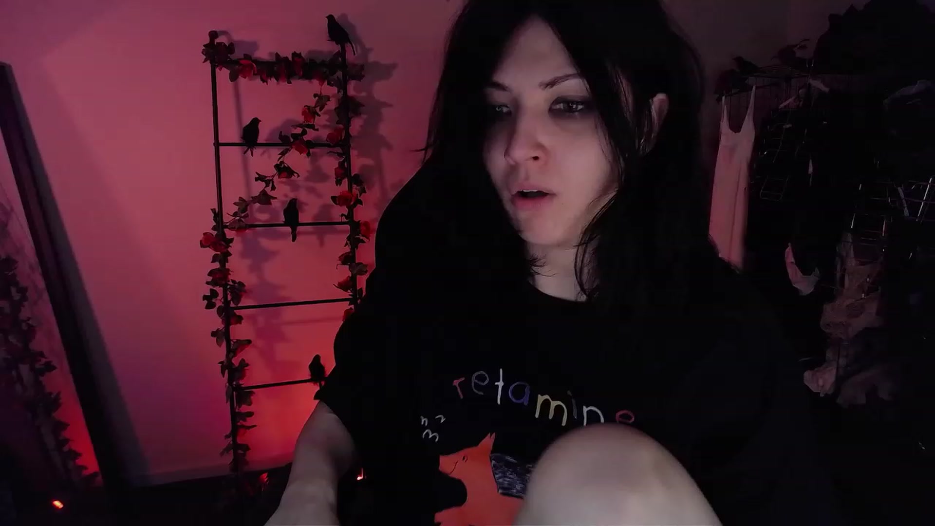 Gallery image thumbnail from RoomToAvoid's myfreecams stream on, 11/19/2022, 18:15 image 6 of 20