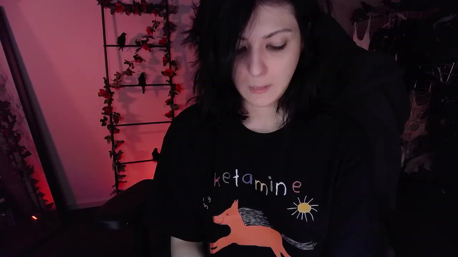 Gallery image thumbnail from RoomToAvoid's myfreecams stream on, 11/19/2022, 18:15 image 16 of 20