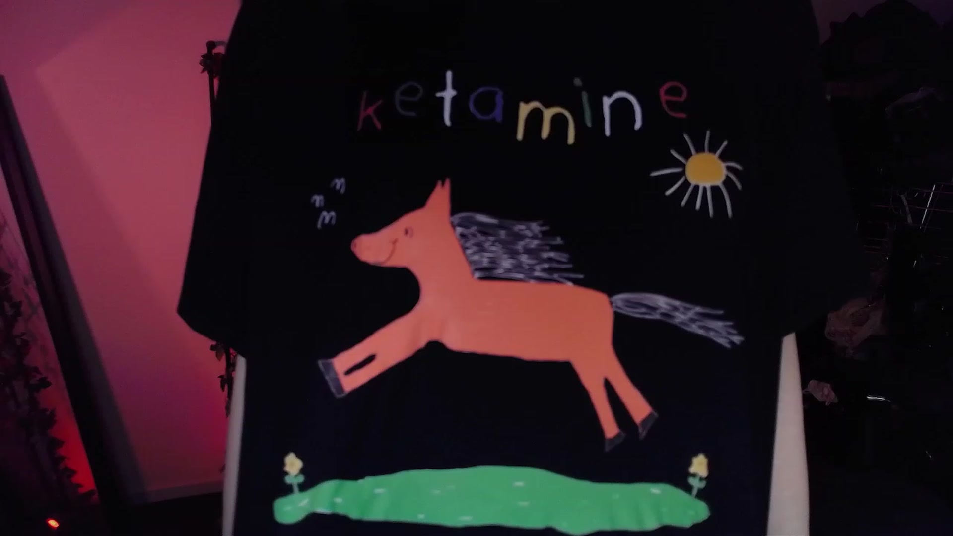 Gallery image thumbnail from RoomToAvoid's myfreecams stream on, 11/19/2022, 18:15 image 9 of 20