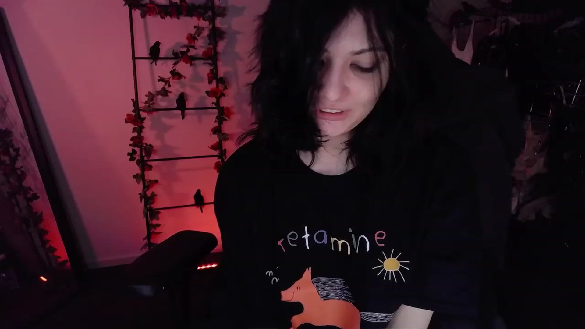 Gallery image thumbnail from RoomToAvoid's myfreecams stream on, 11/19/2022, 18:15 image 17 of 20
