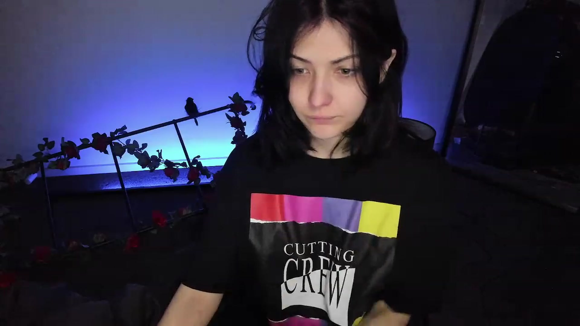 Gallery image thumbnail from RoomToAvoid's myfreecams stream on, 11/24/2022, 05:19 image 6 of 20