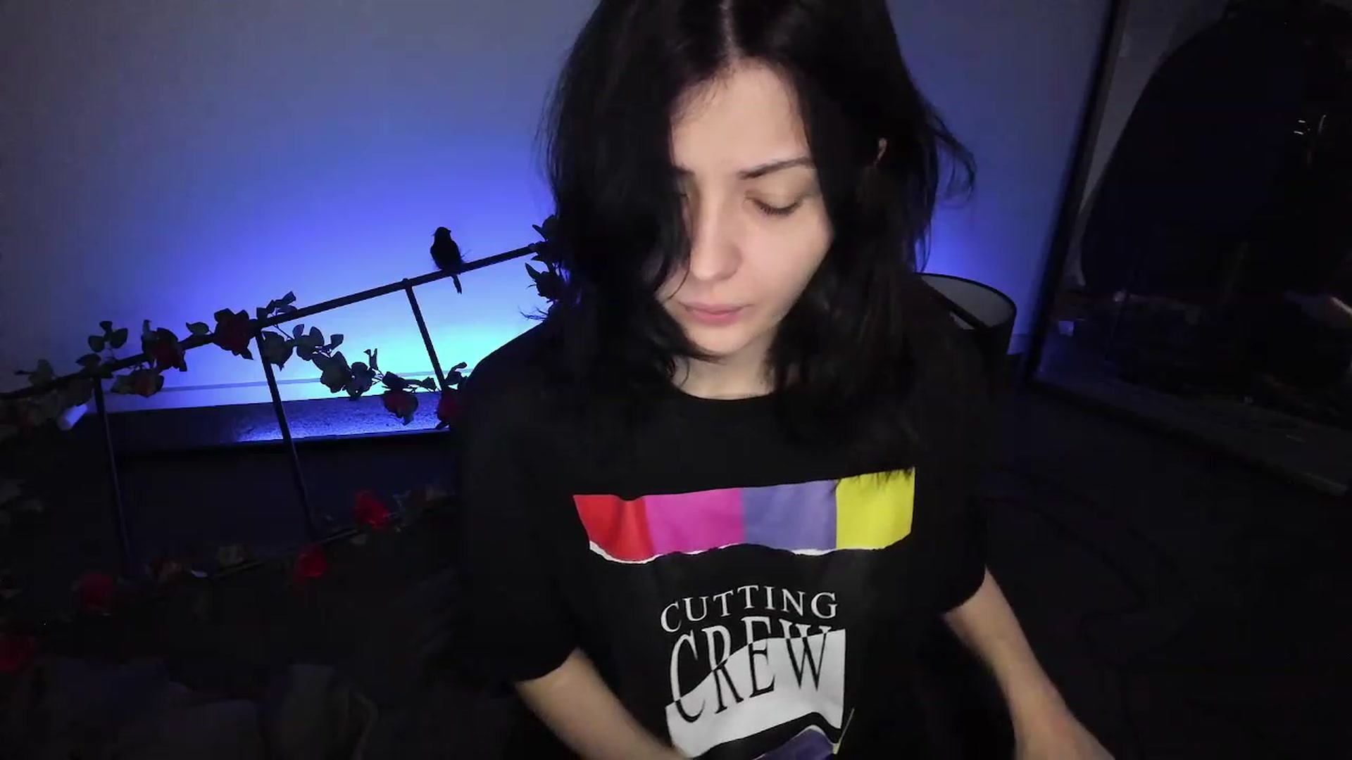 Gallery image thumbnail from RoomToAvoid's myfreecams stream on, 11/24/2022, 05:19 image 5 of 20