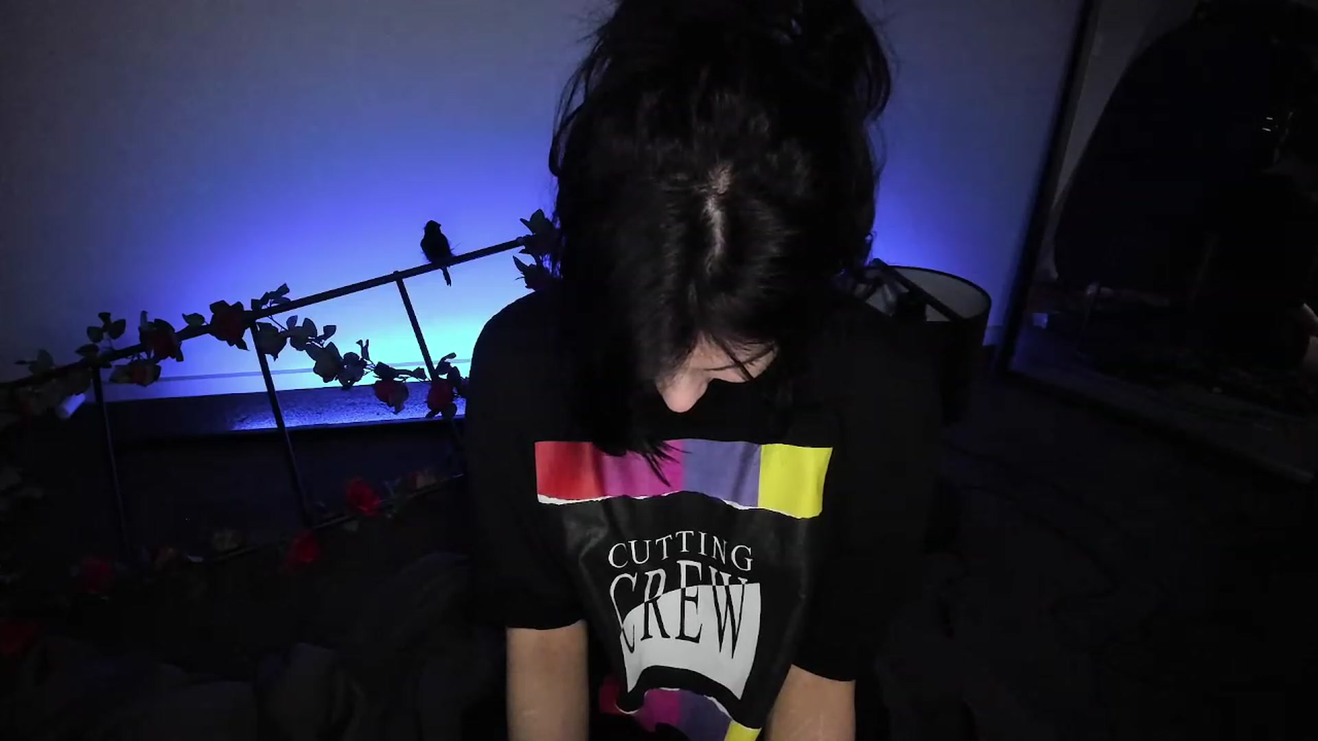 Gallery image thumbnail from RoomToAvoid's myfreecams stream on, 11/24/2022, 05:19 image 8 of 20
