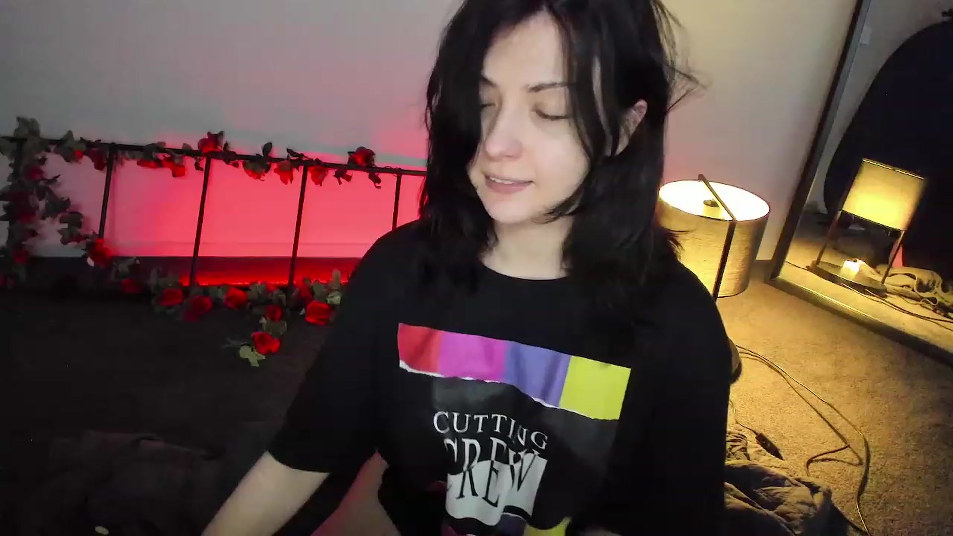 Gallery image thumbnail from RoomToAvoid's myfreecams stream on, 11/24/2022, 06:36 image 3 of 20