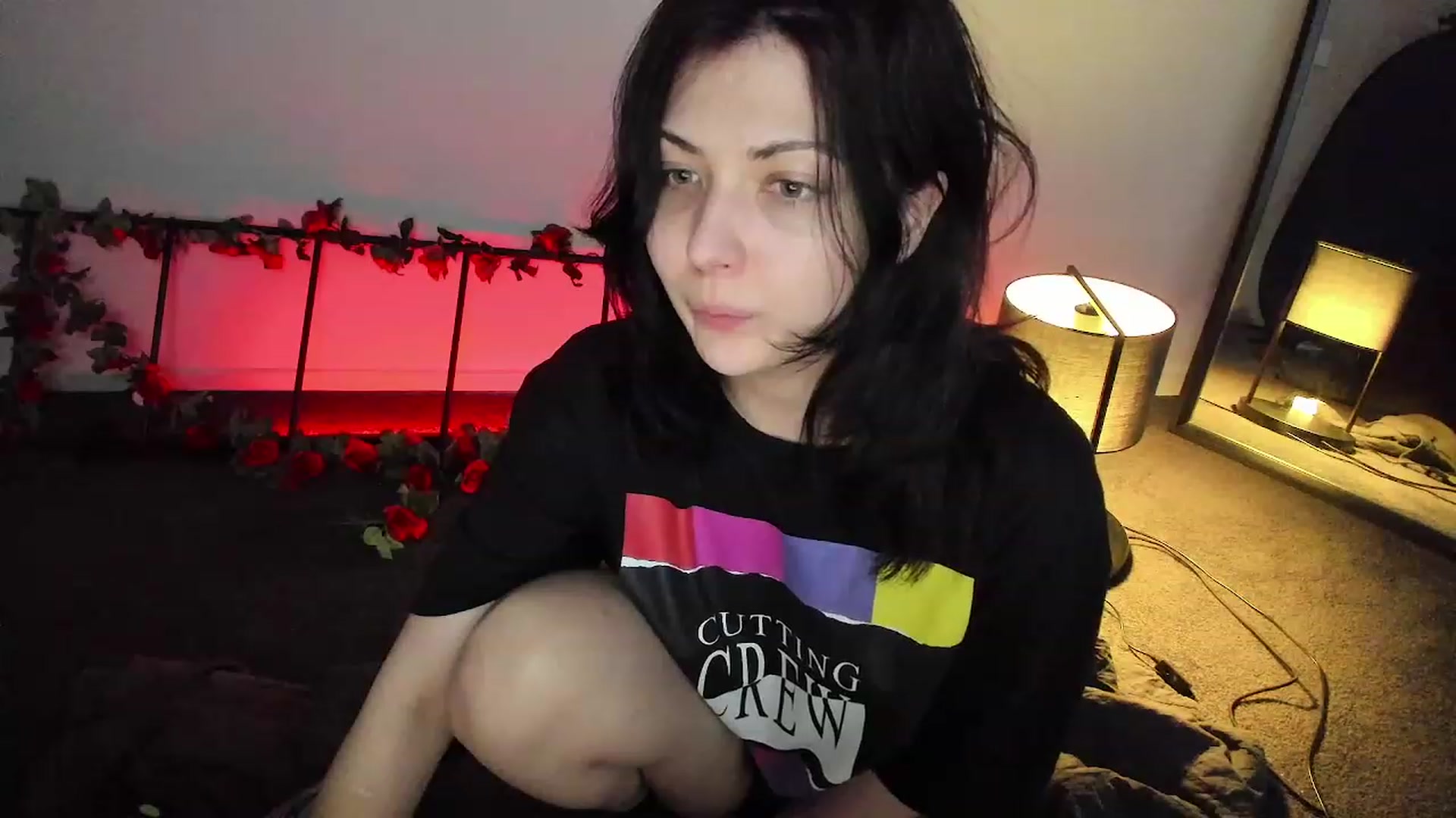 Gallery image thumbnail from RoomToAvoid's myfreecams stream on, 11/24/2022, 06:36 image 20 of 20