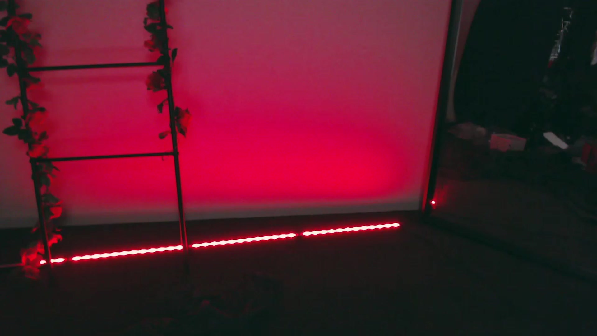 Gallery image thumbnail from RoomToAvoid's myfreecams stream on, 11/27/2022, 05:30 image 15 of 20