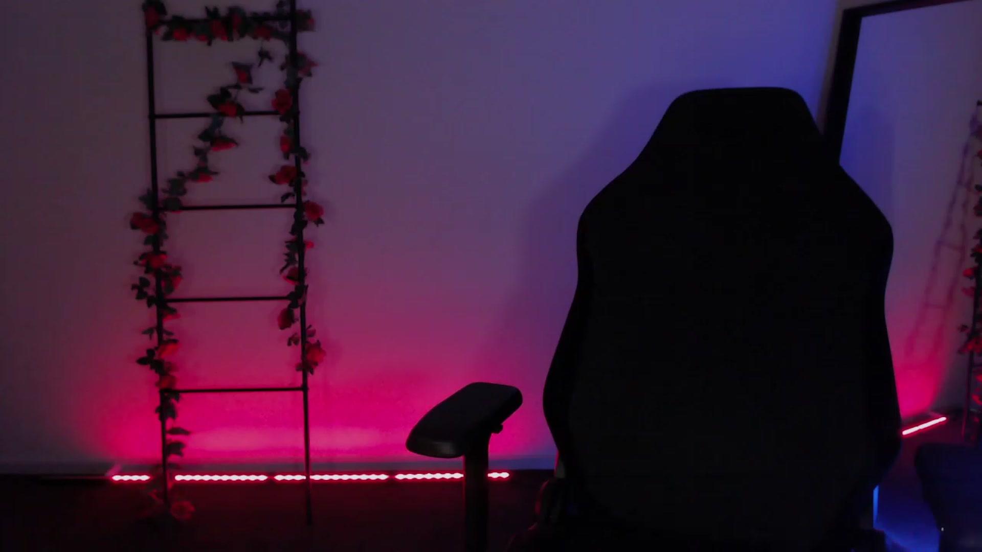 Gallery image thumbnail from RoomToAvoid's myfreecams stream on, 12/05/2022, 03:48 image 17 of 20