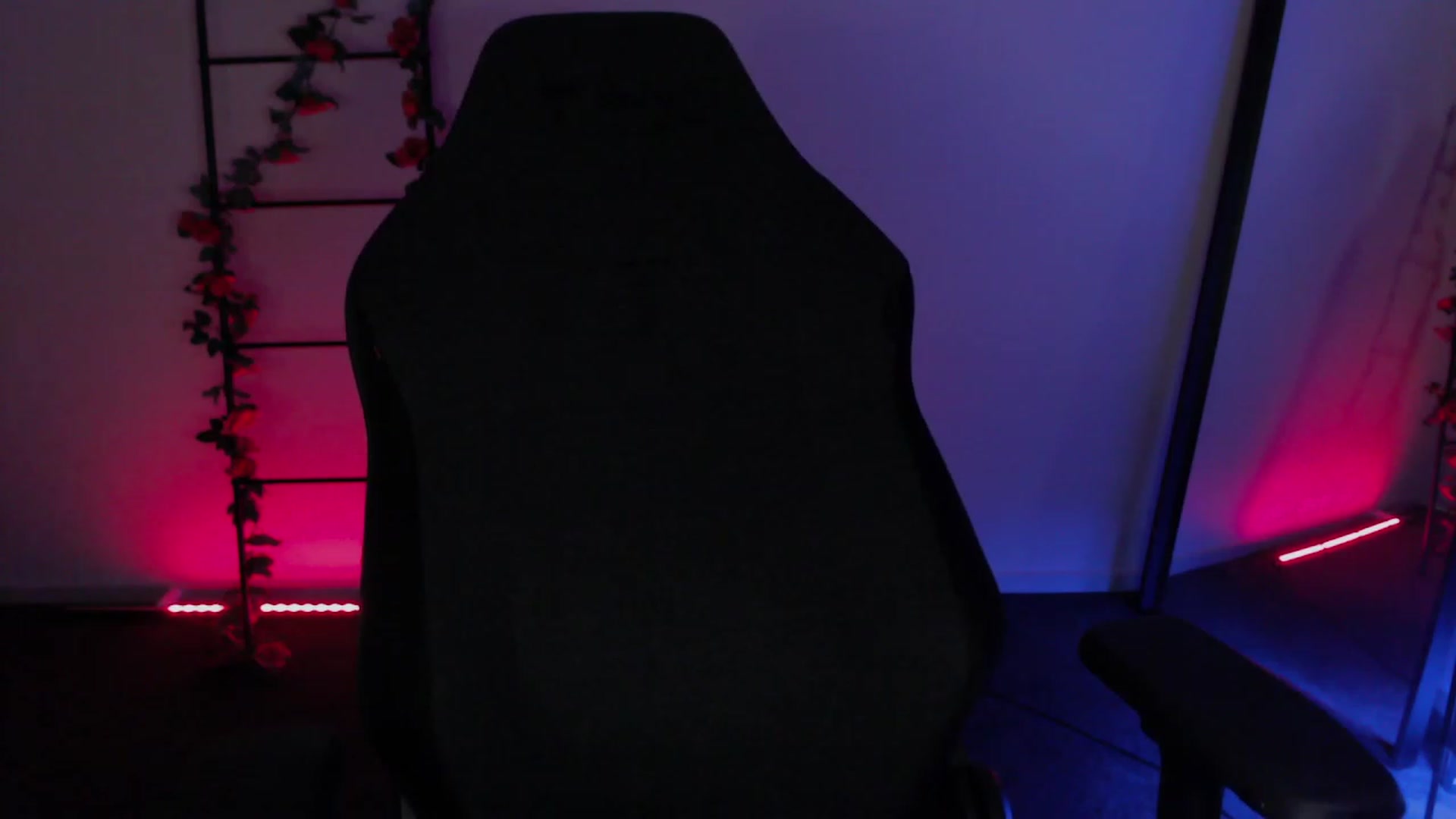 Gallery image thumbnail from RoomToAvoid's myfreecams stream on, 12/05/2022, 03:48 image 12 of 20