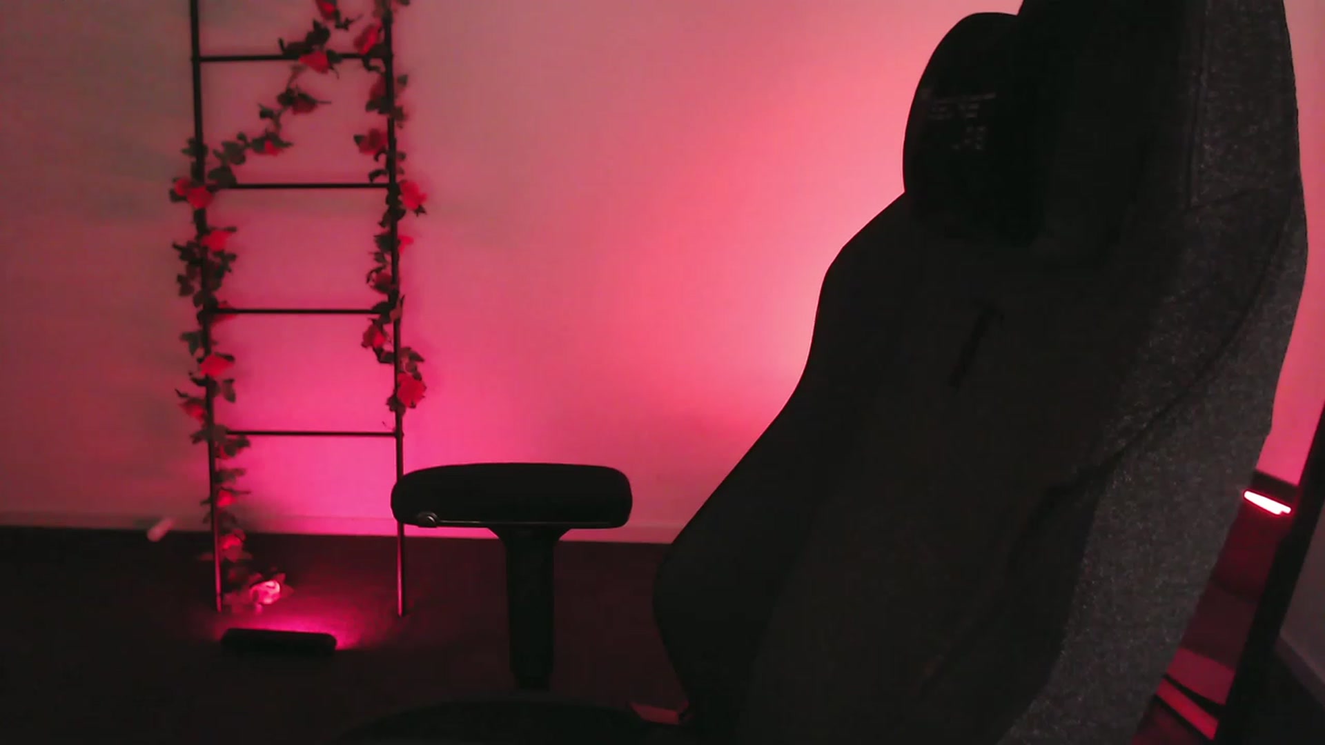 Gallery image thumbnail from RoomToAvoid's myfreecams stream on, 01/16/2023, 06:38 image 11 of 20