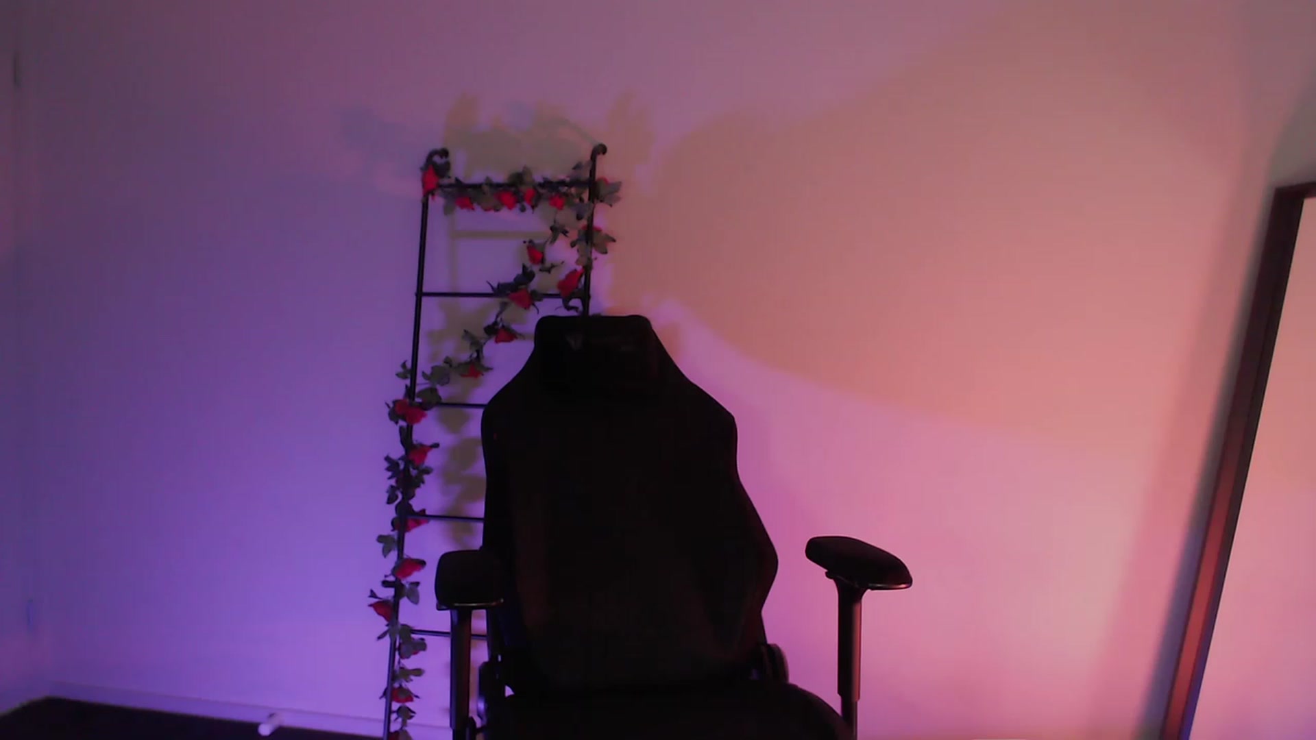 Gallery image thumbnail from RoomToAvoid's myfreecams stream on, 01/19/2023, 05:50 image 18 of 20