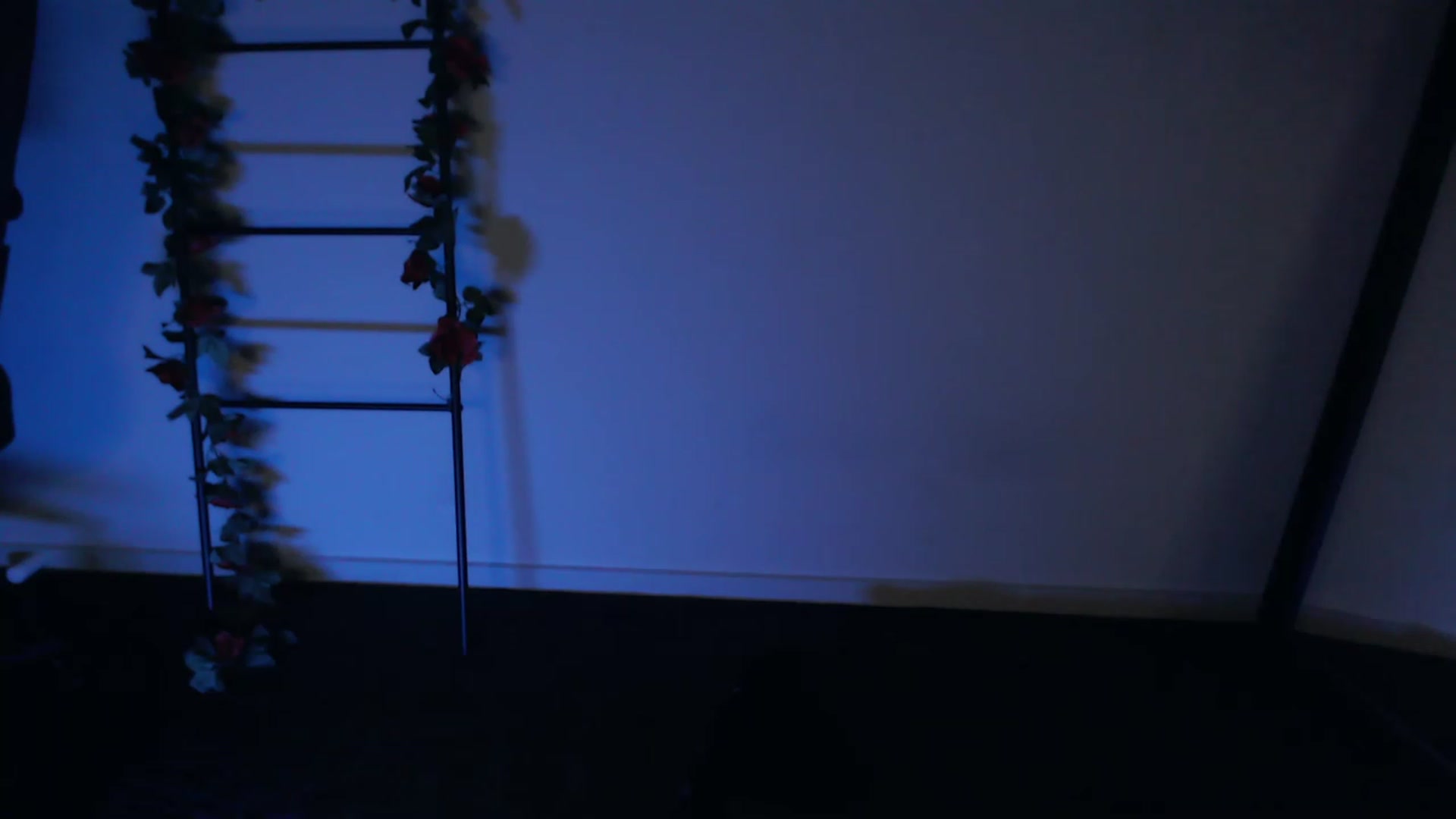 Gallery image thumbnail from RoomToAvoid's myfreecams stream on, 01/21/2023, 08:24 image 18 of 20