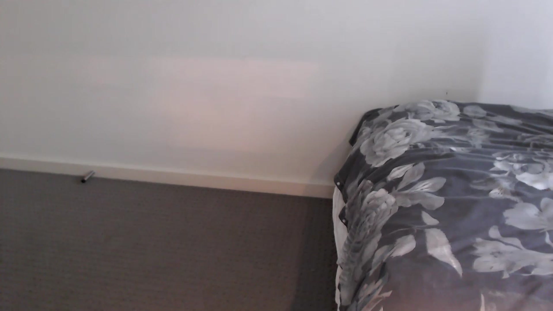 Gallery image thumbnail from RoomToAvoid's myfreecams stream on, 01/30/2023, 02:55 image 12 of 20